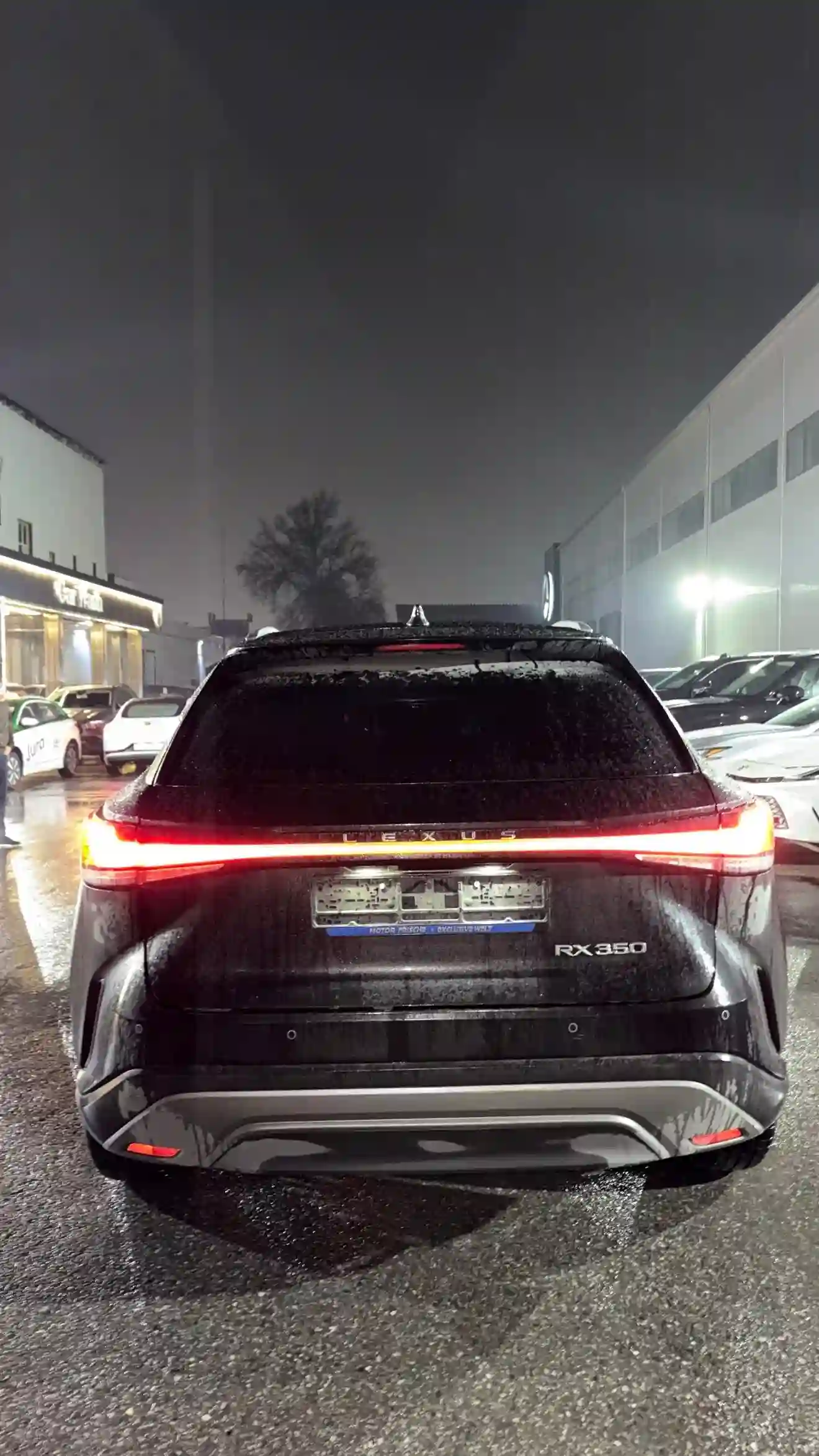 Lexus Rx series 2024 — миниатюра 3