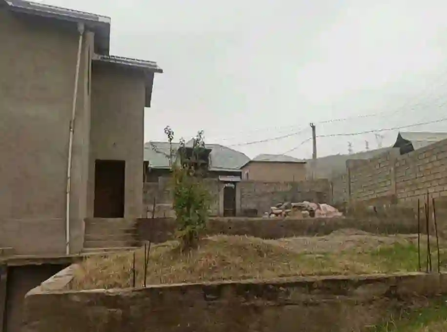 Хавлии фуруши 