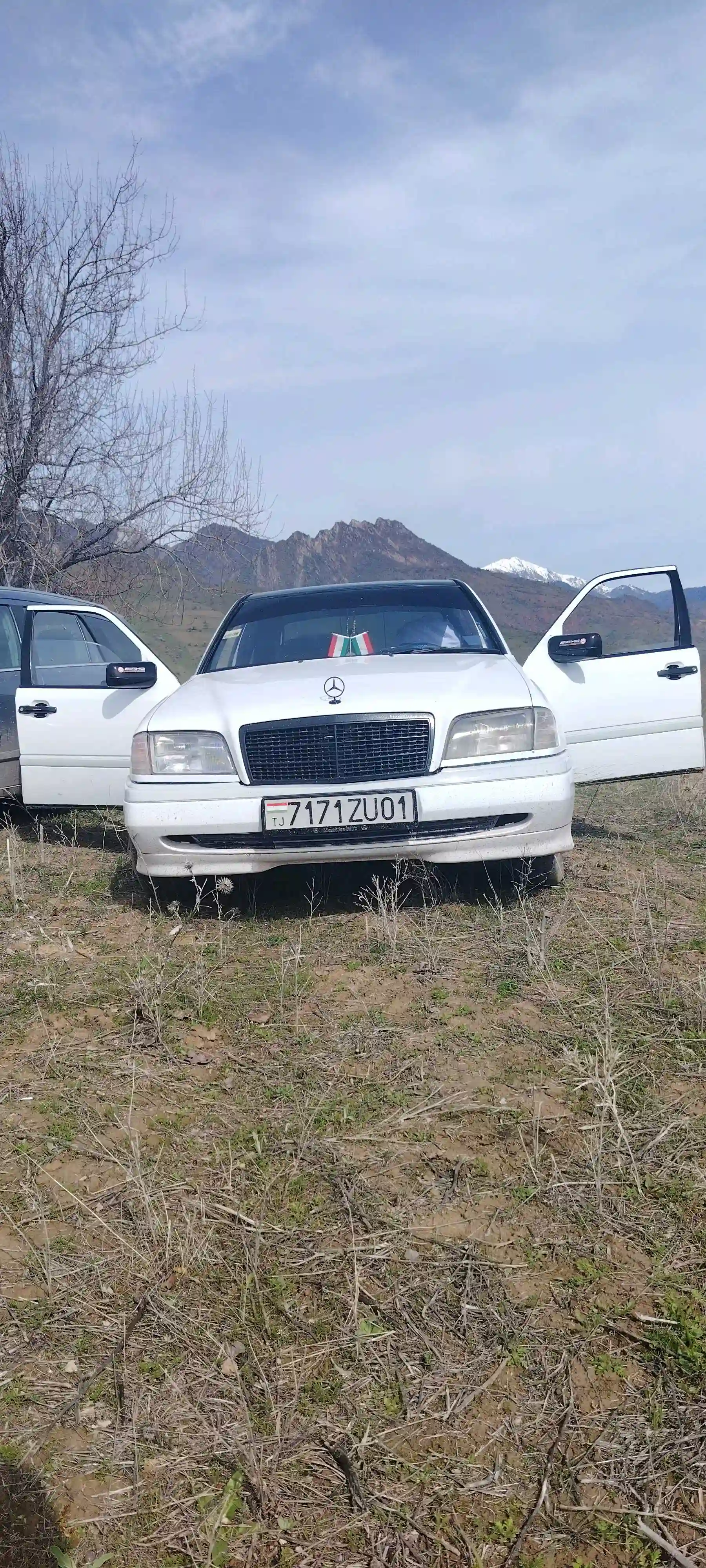 Mercedes-benz C class 1994