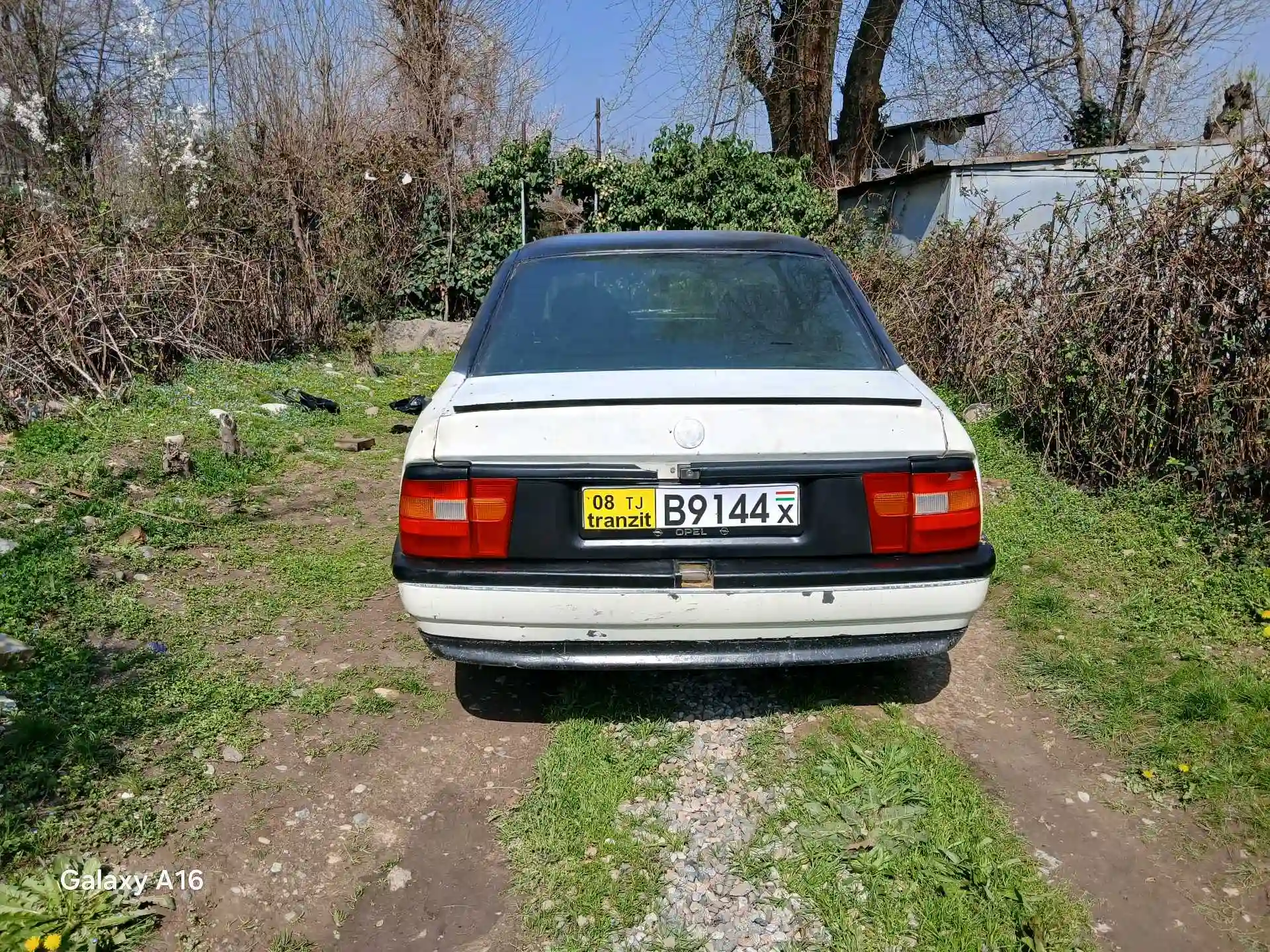 Opel Vectra a 1992