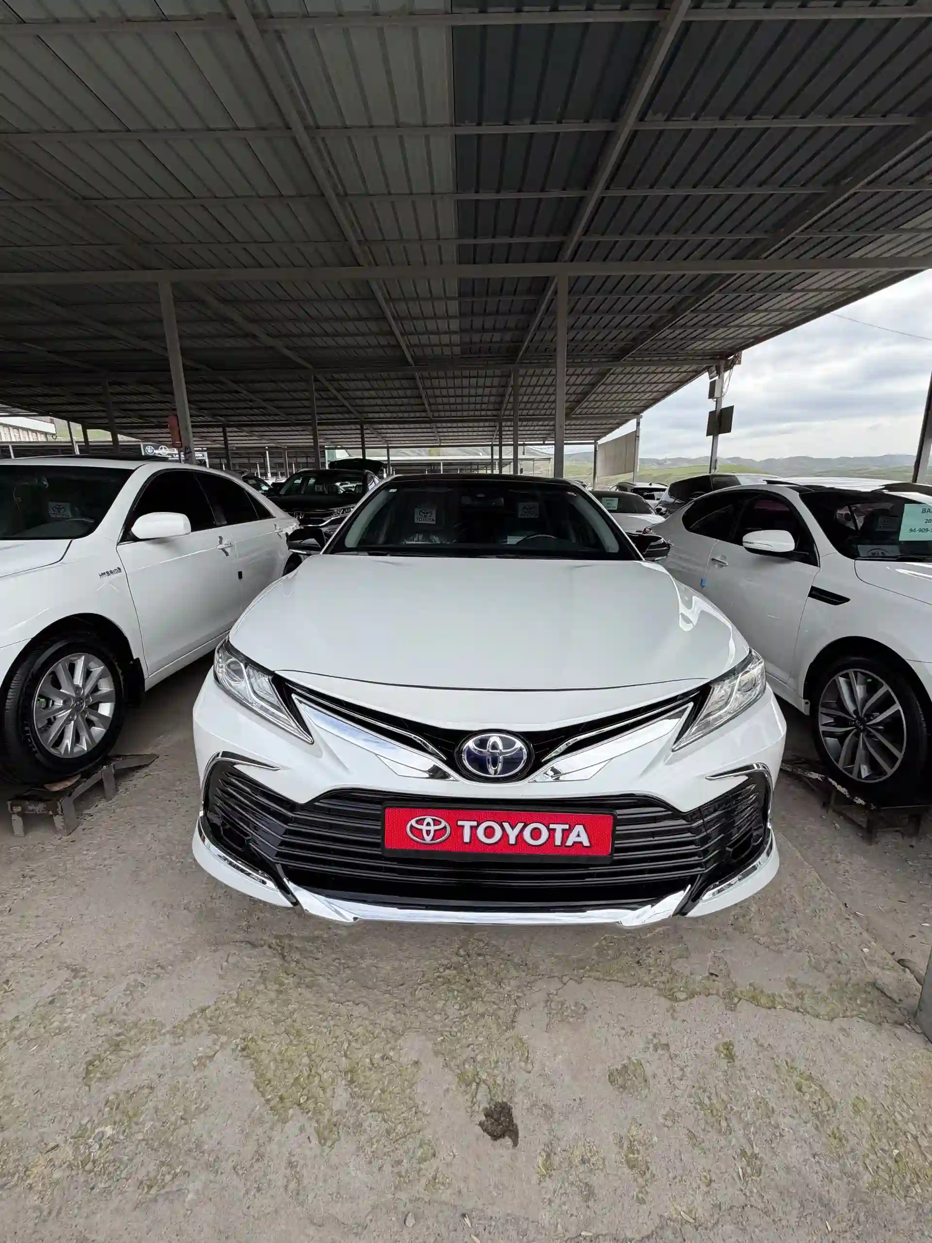 Toyota Camry gracia 2017