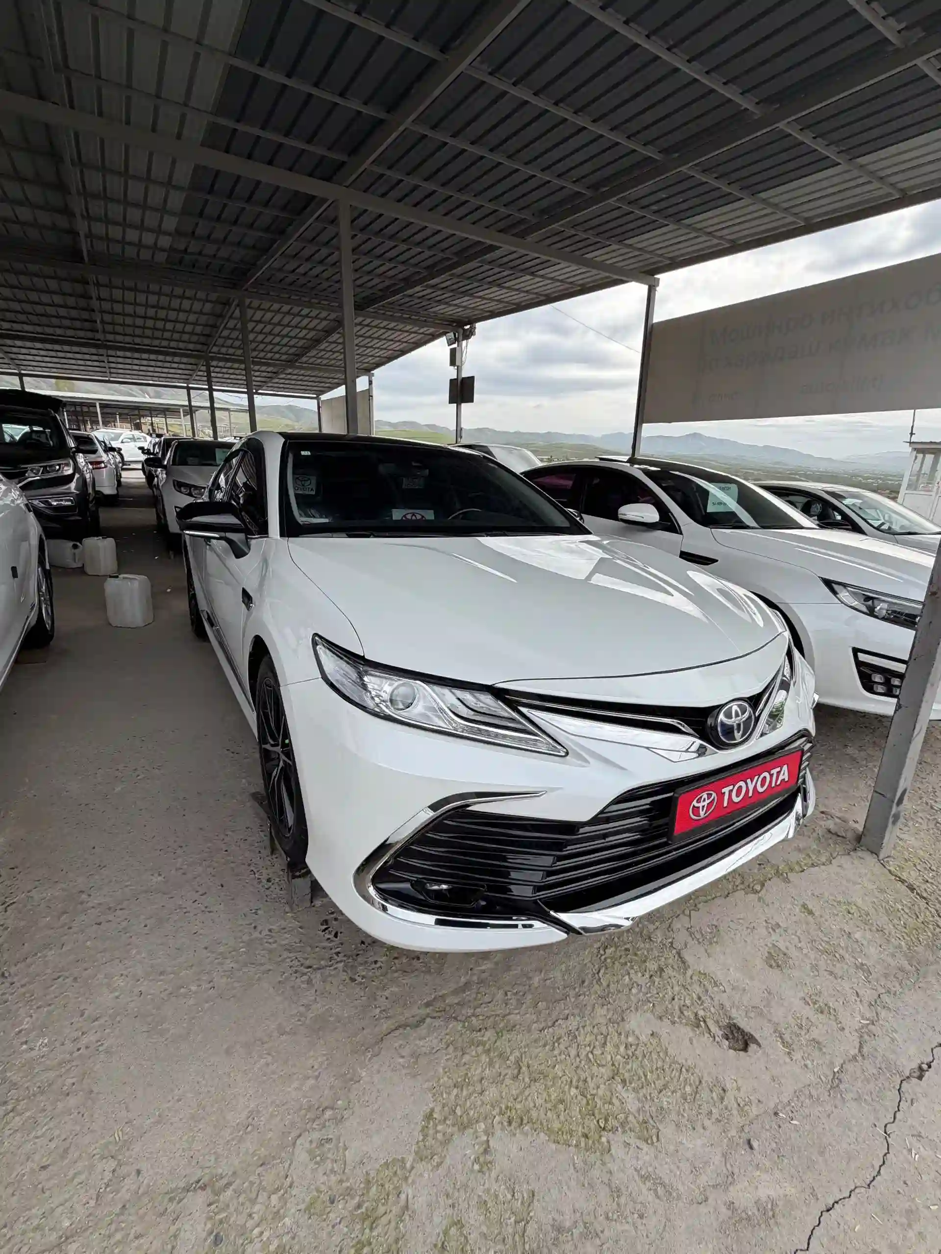 Toyota Camry gracia 2017