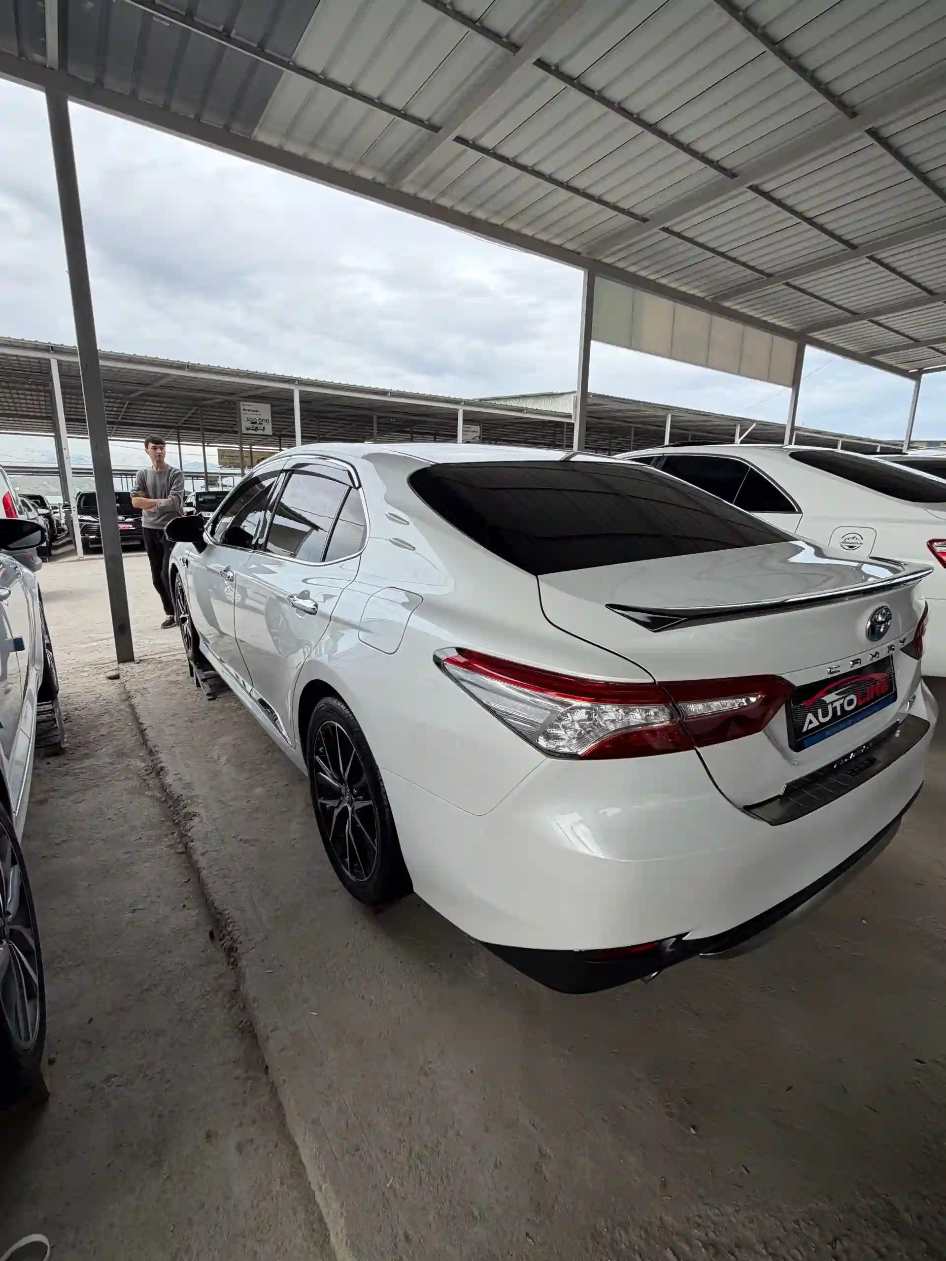 Toyota Camry gracia 2017