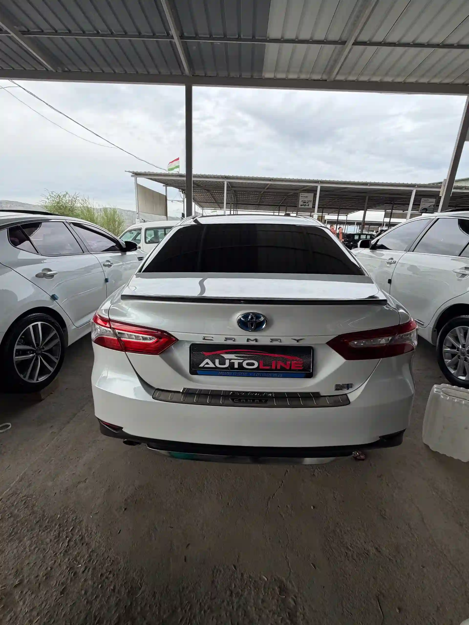 Toyota Camry gracia 2017