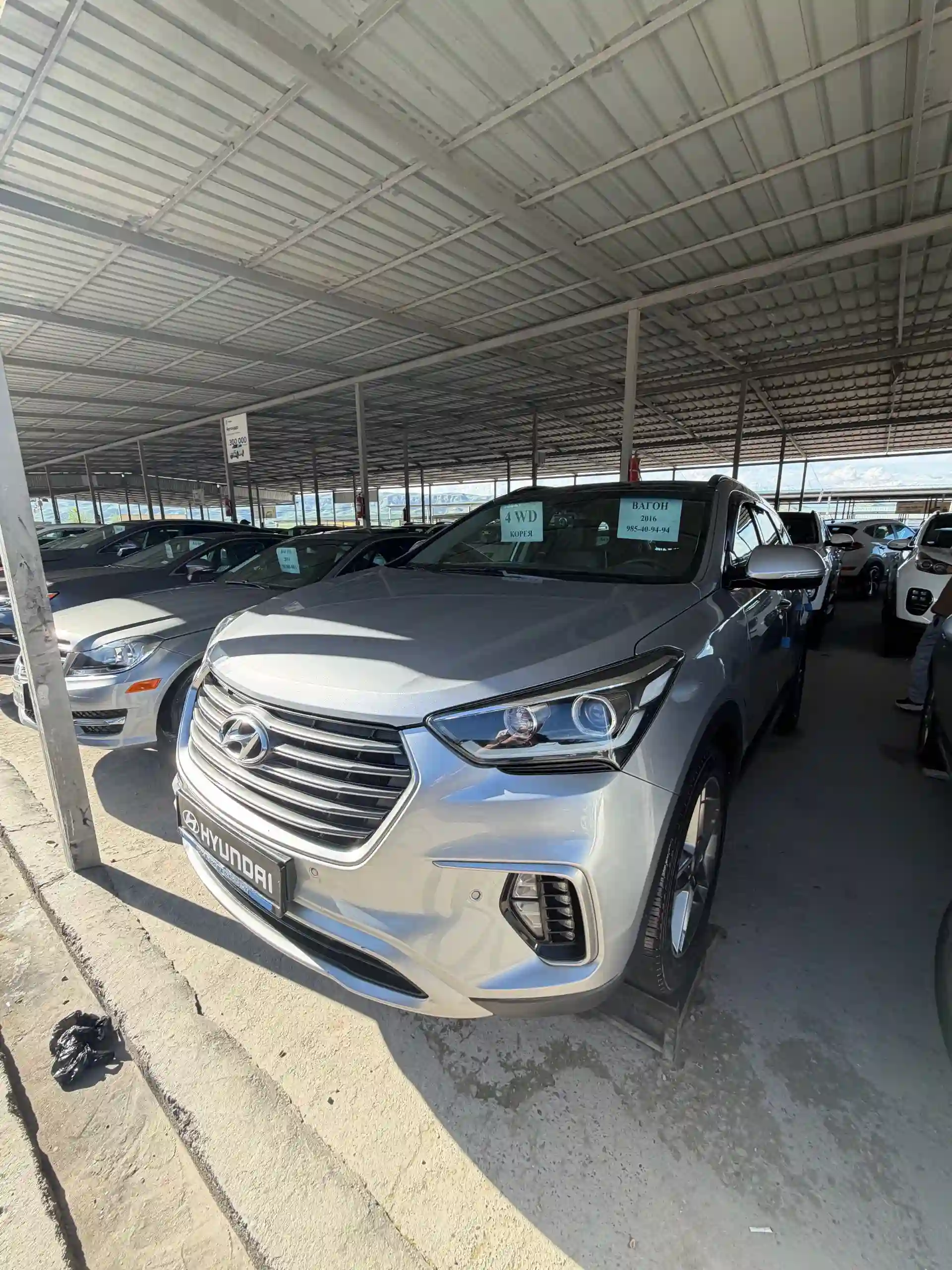 Hyundai Maxcruz 2016