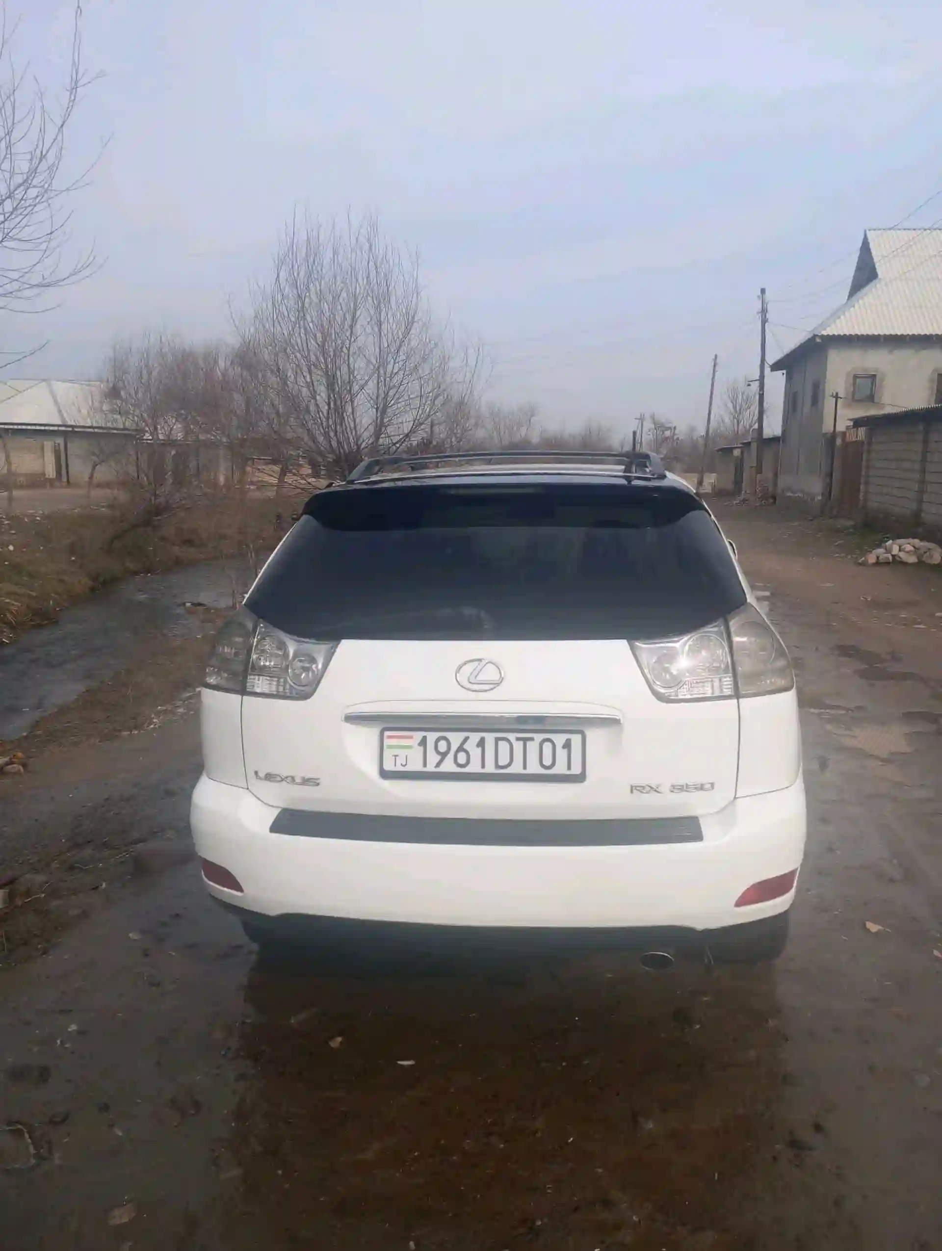 Lexus Rx series 2004