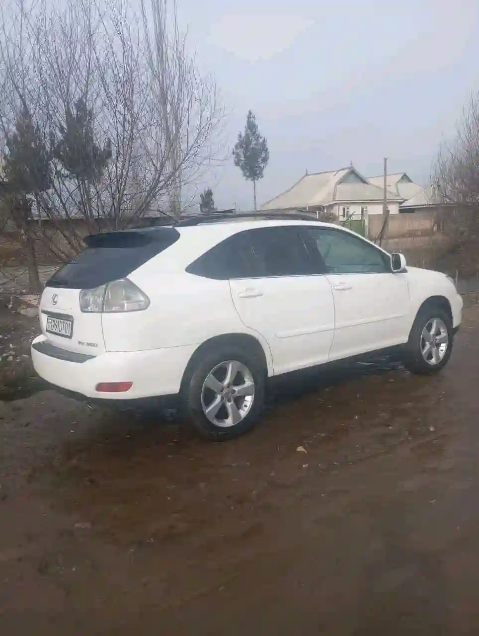 Lexus Rx series 2004