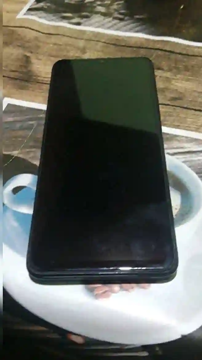 100029665