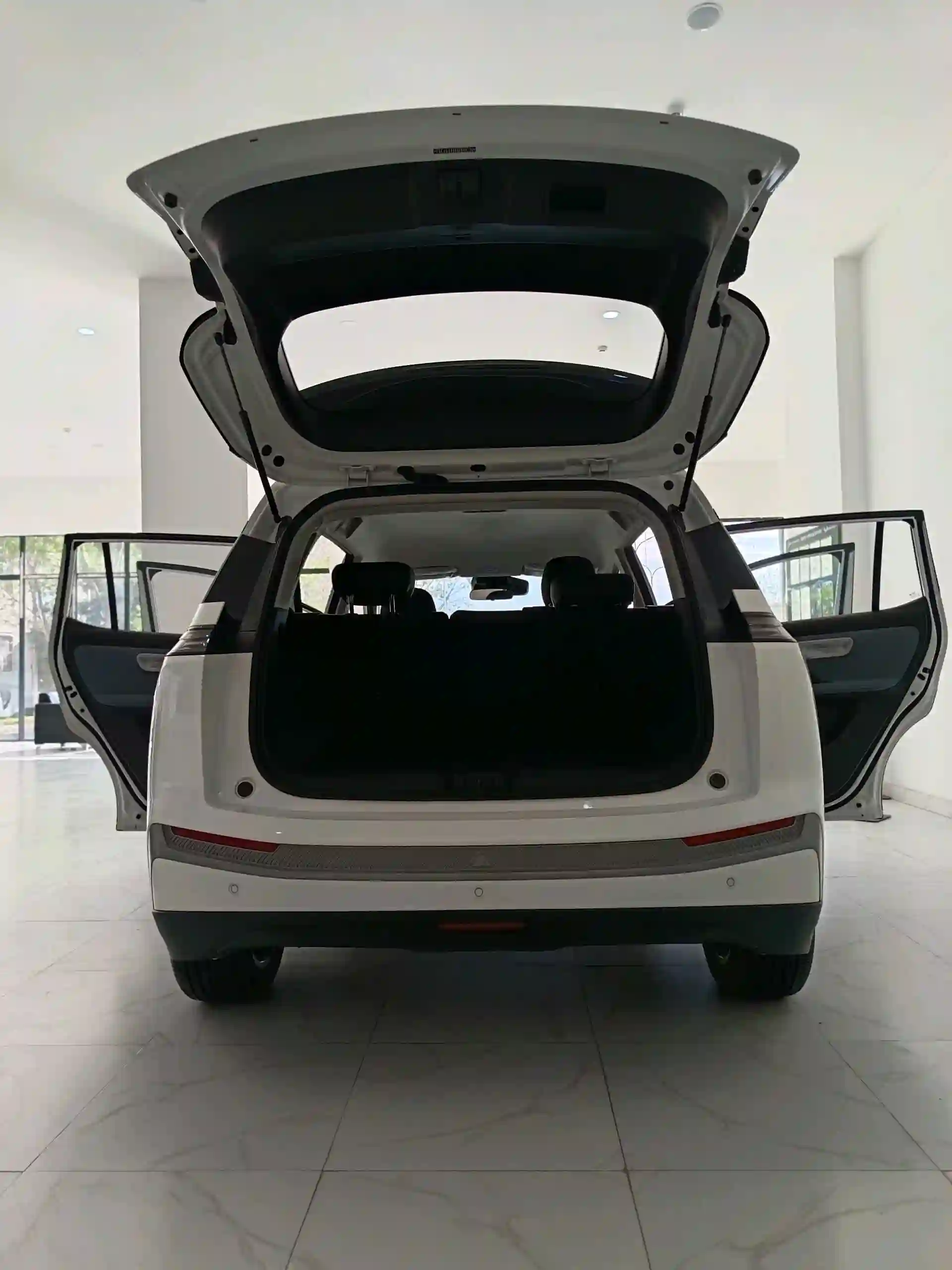 GAC Aion Y 2025