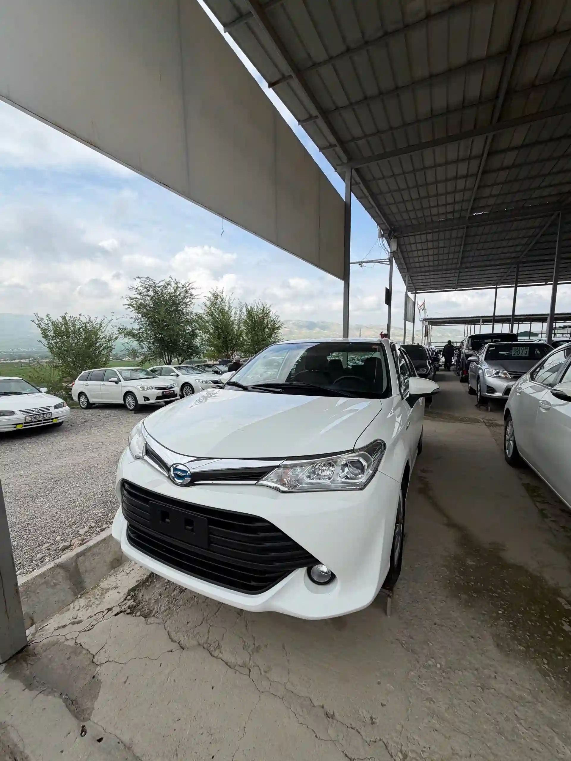 Toyota Axio 2016