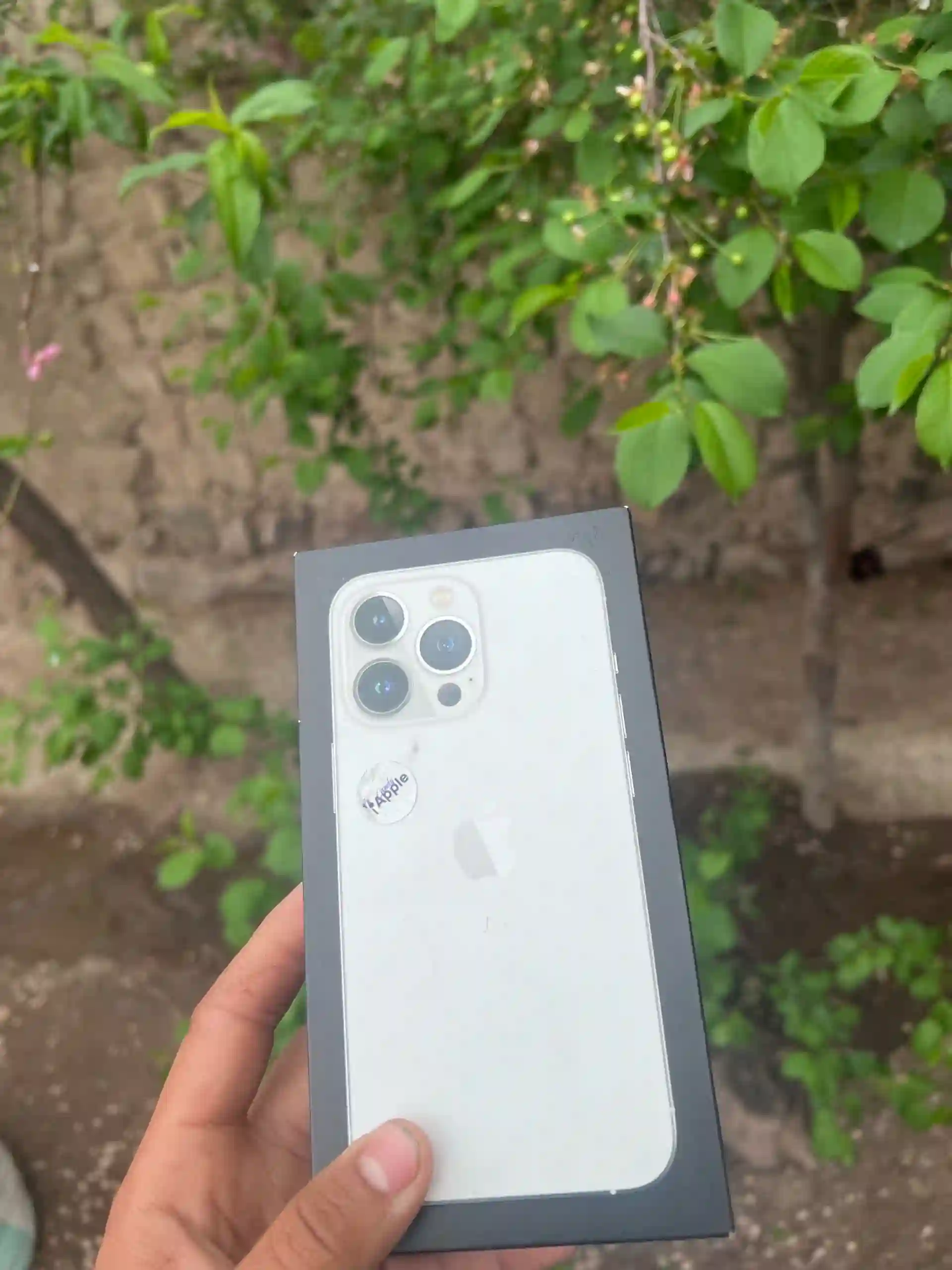 Apple Iphone 13 pro 256 gb