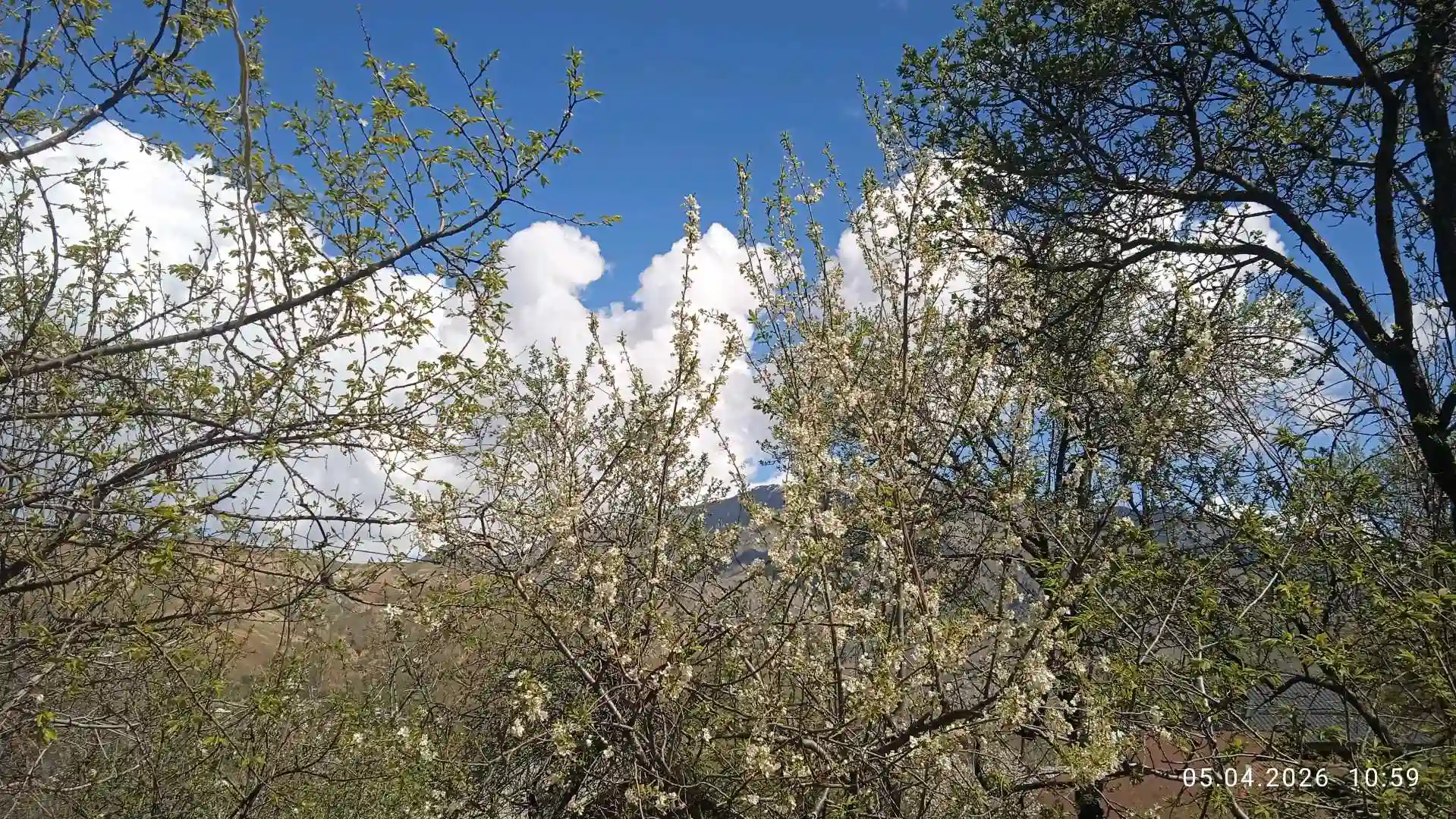 1-к квартира, 5 этаж, 27 м², сино