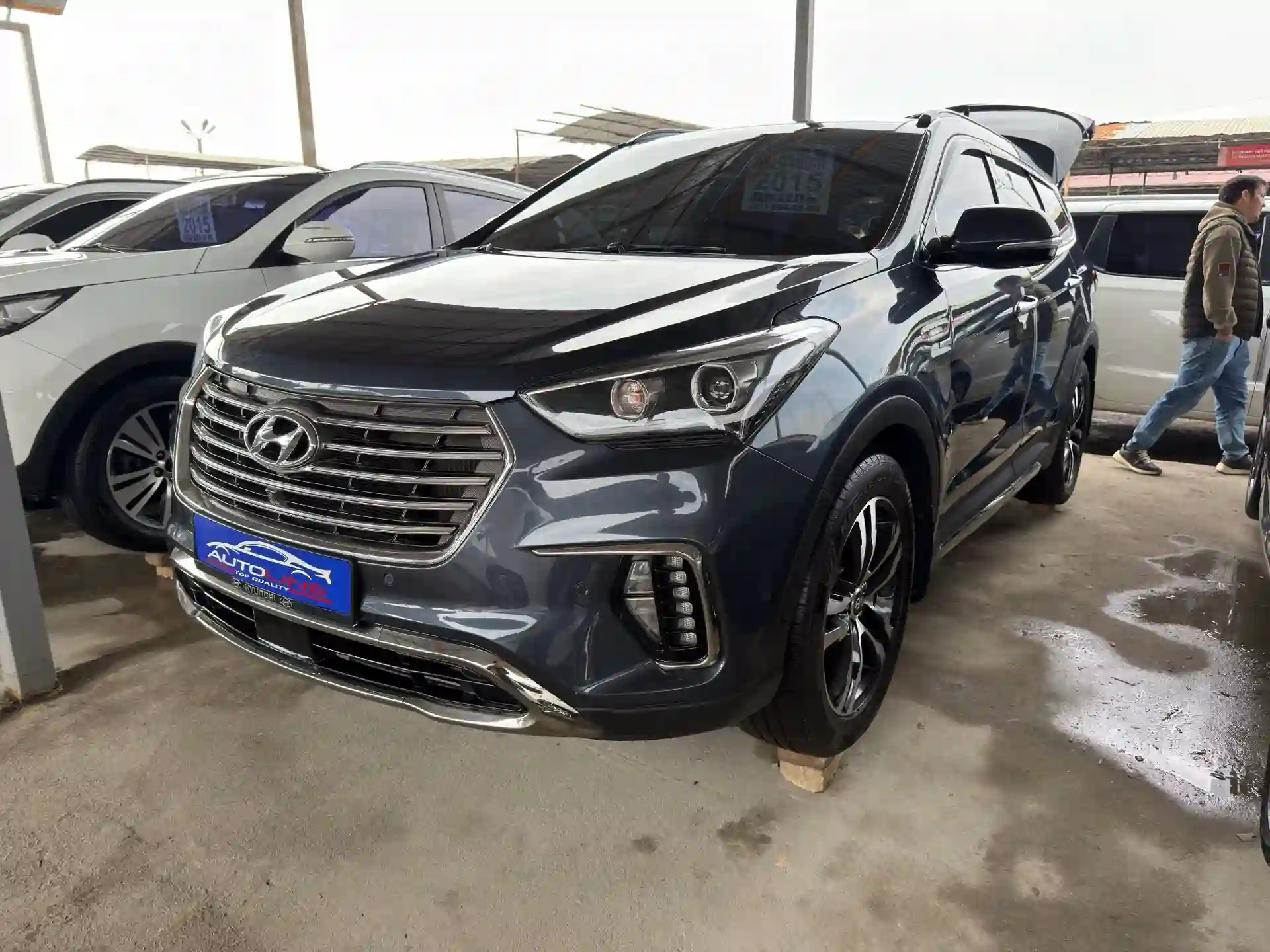 Hyundai Maxcruz 2015