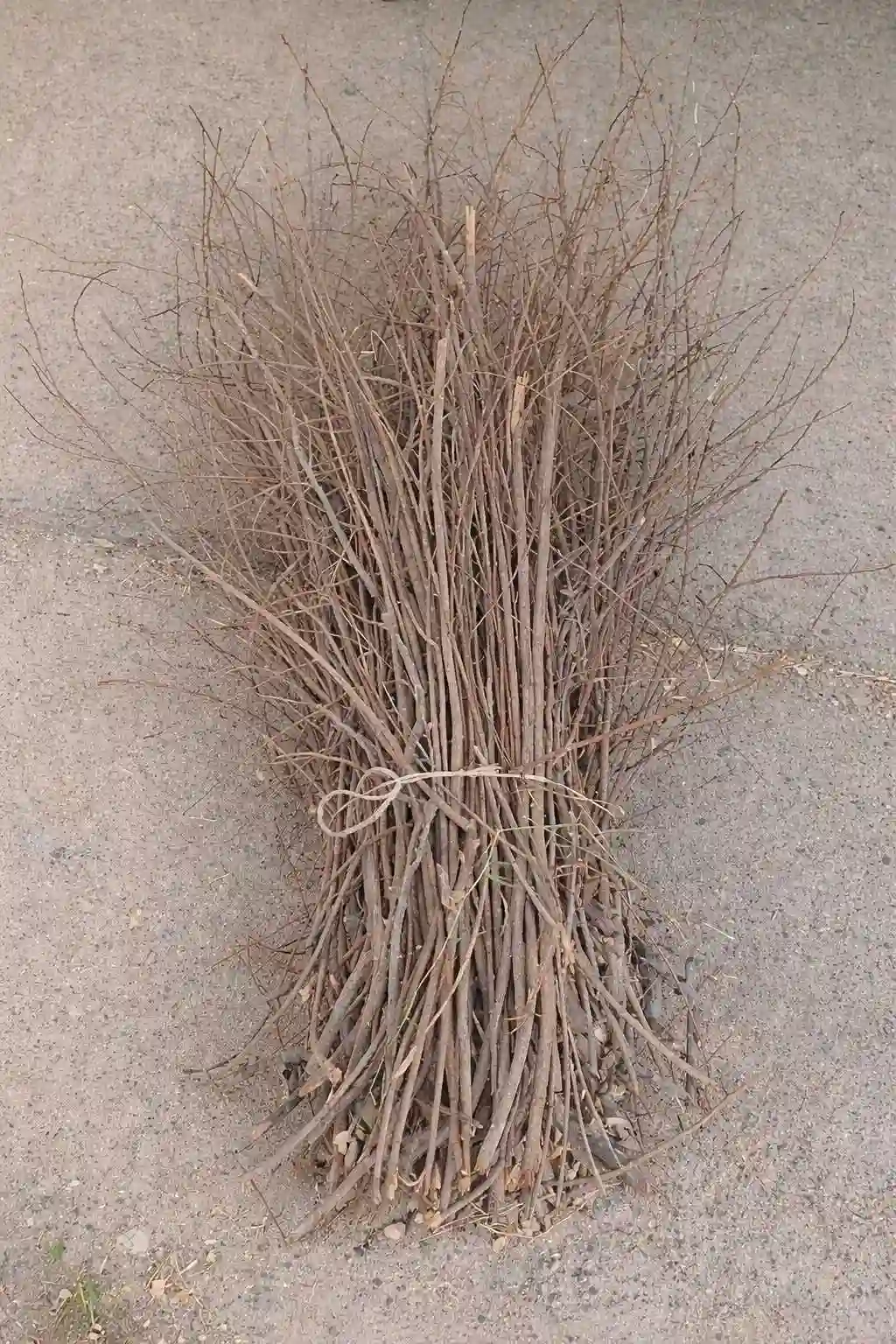 Фуруши хезум 