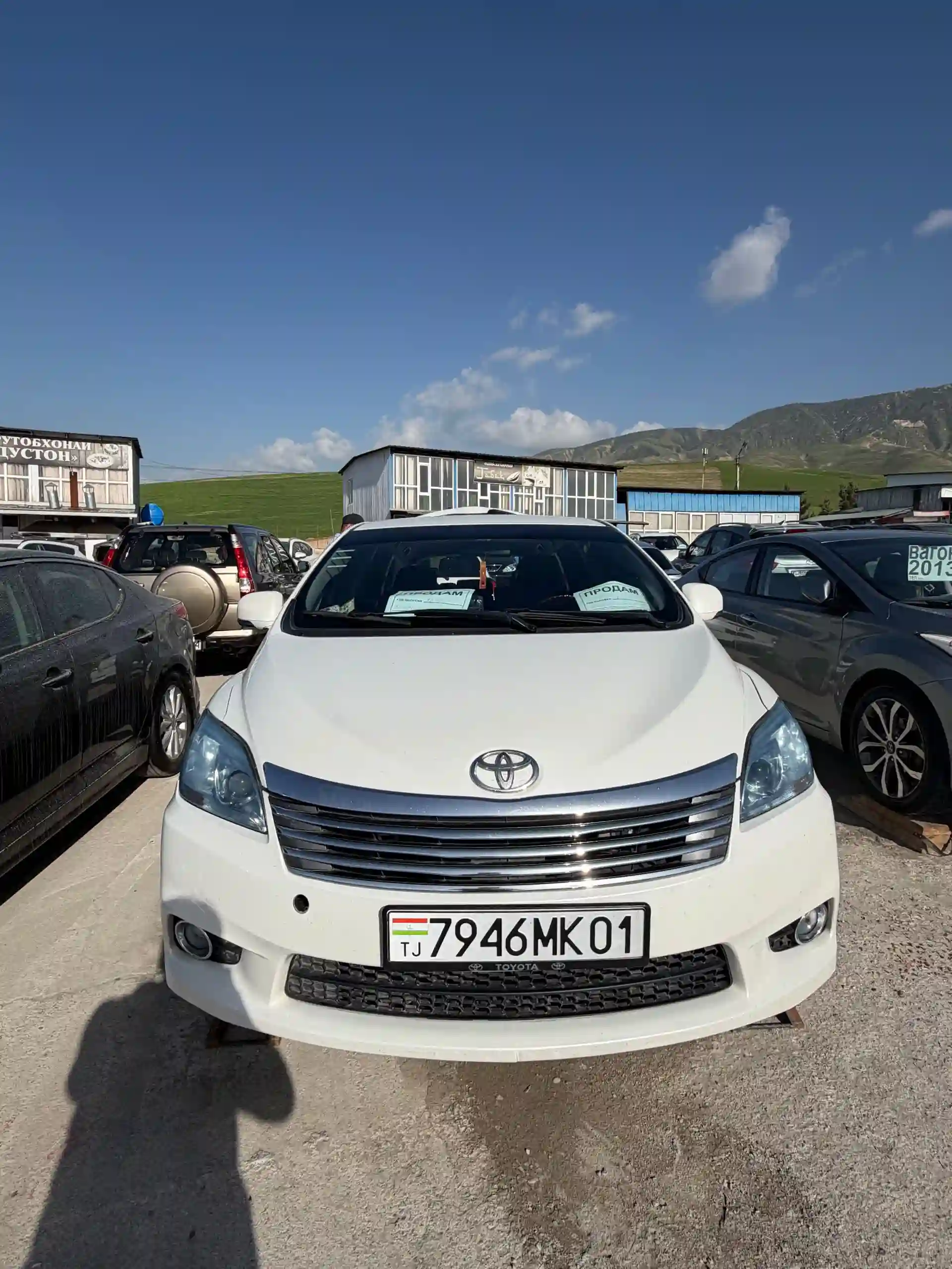 Toyota Mark X ZiO 2011