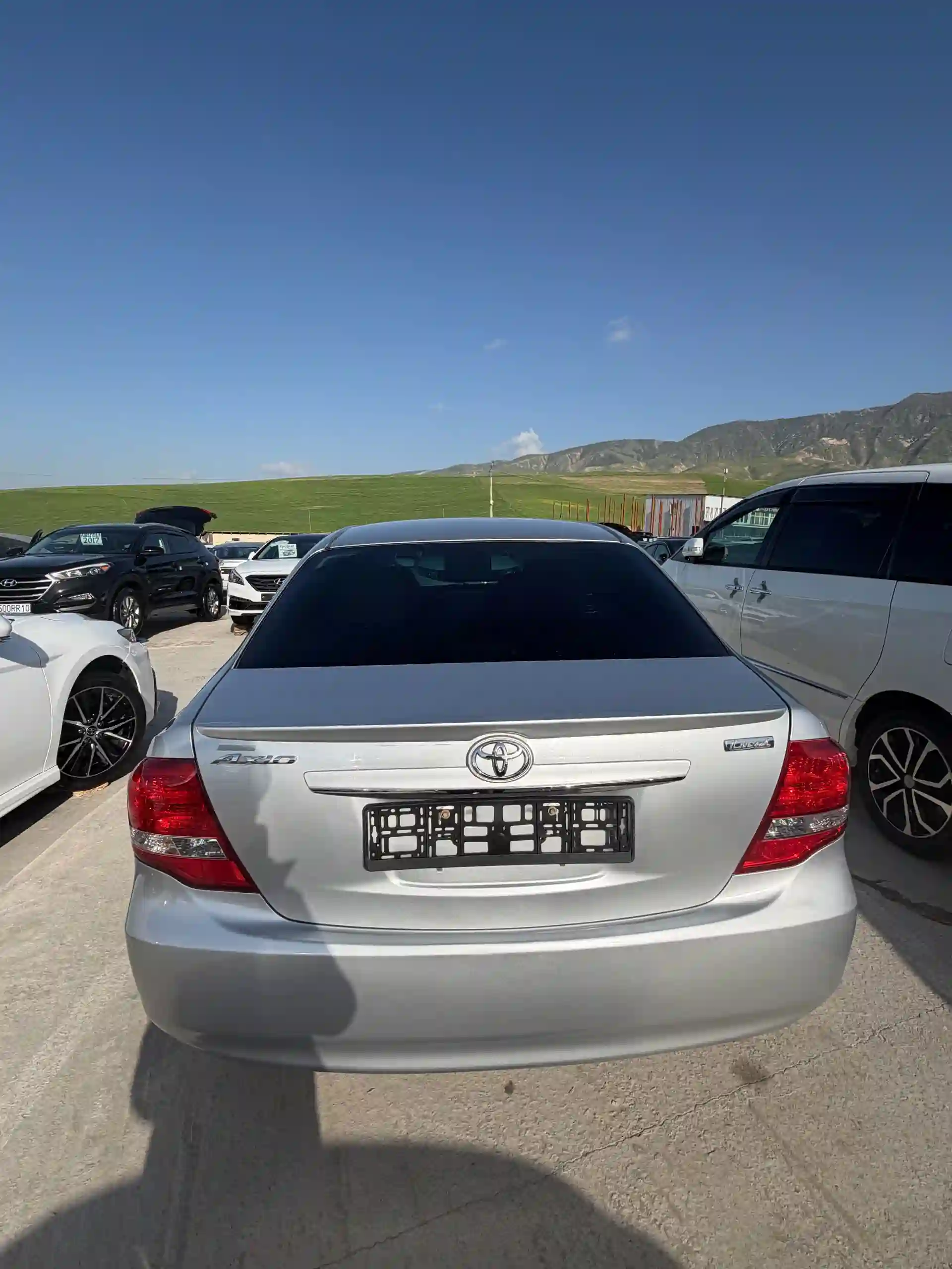 Toyota Axio 2008