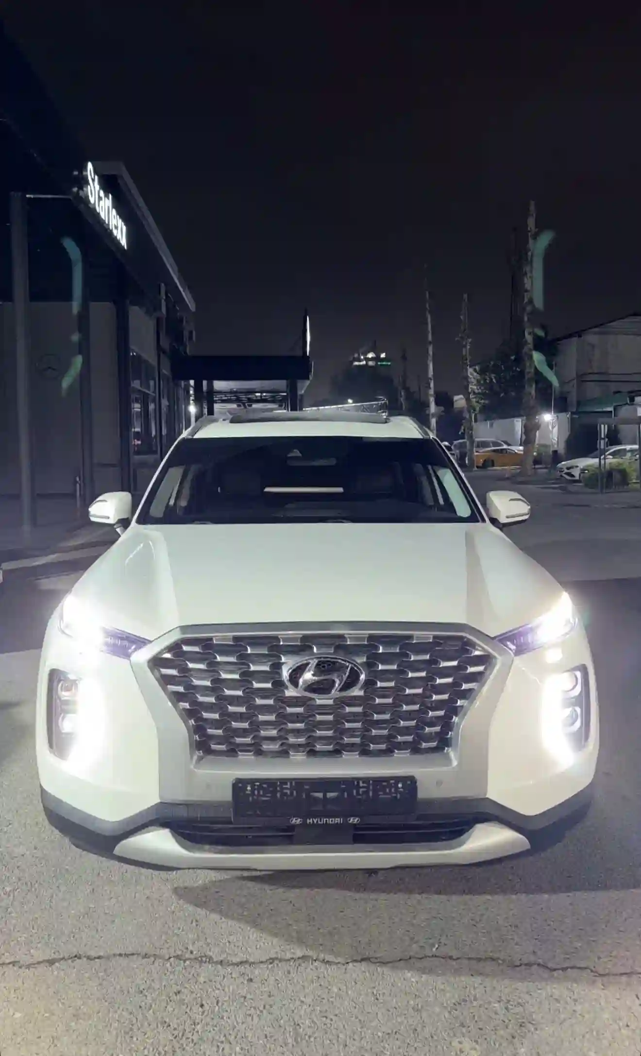 Hyundai Palisade 2021