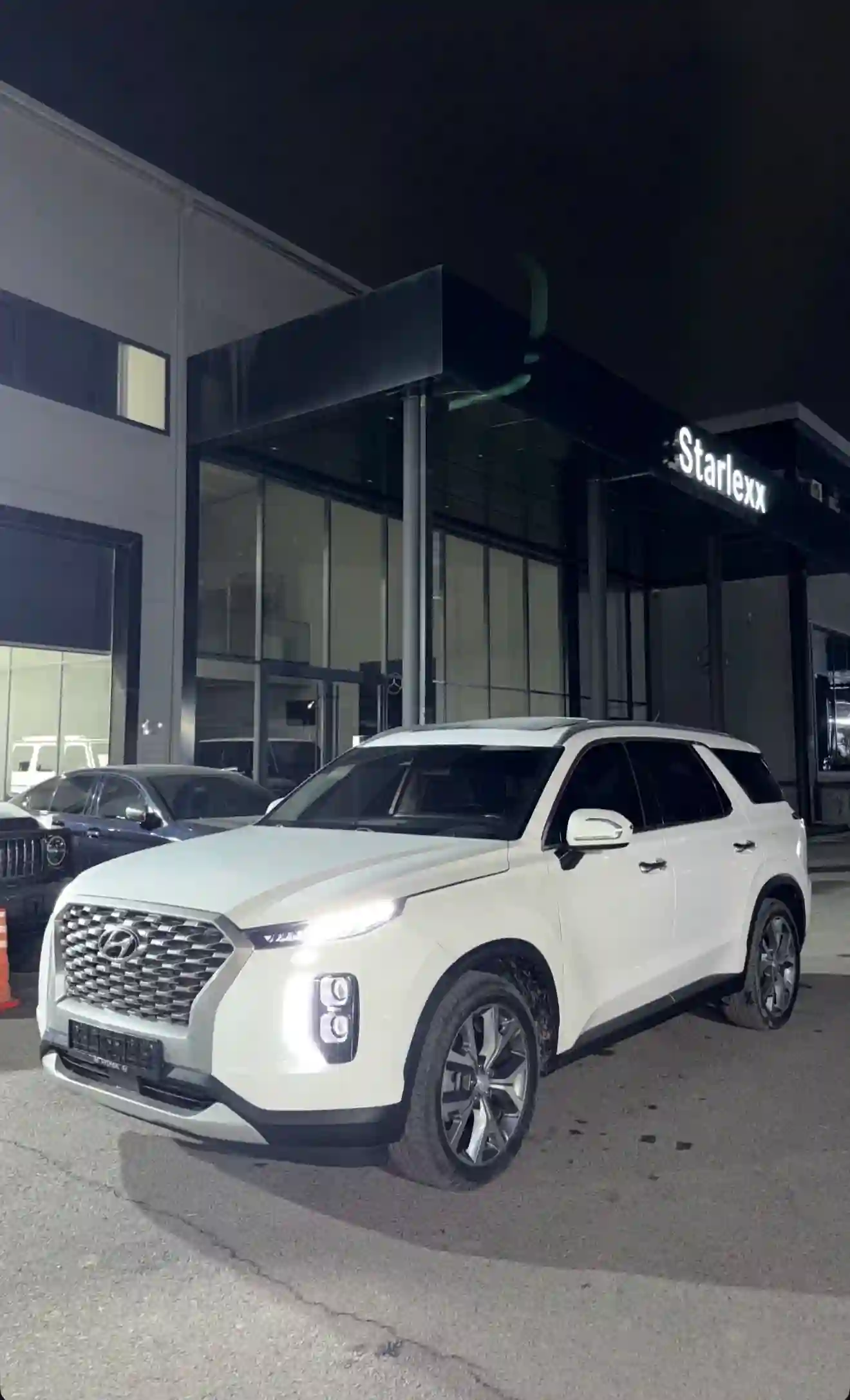 Hyundai Palisade 2021