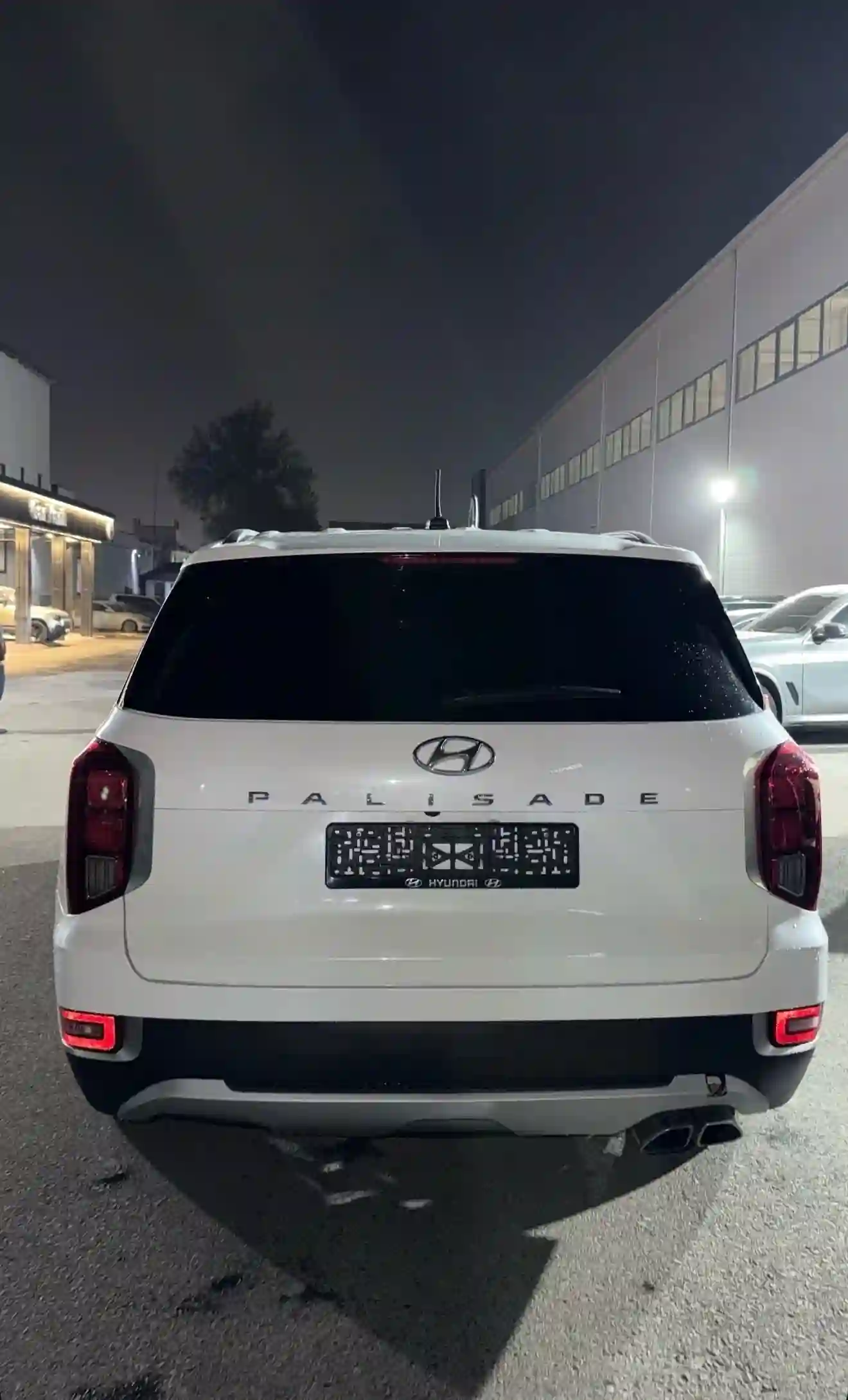 Hyundai Palisade 2021
