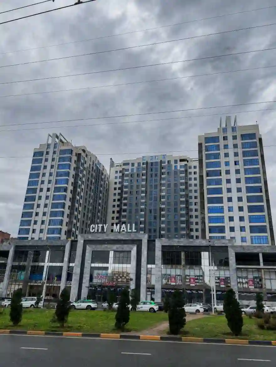 2-к квартира, 13 этаж, 85 м², Сино