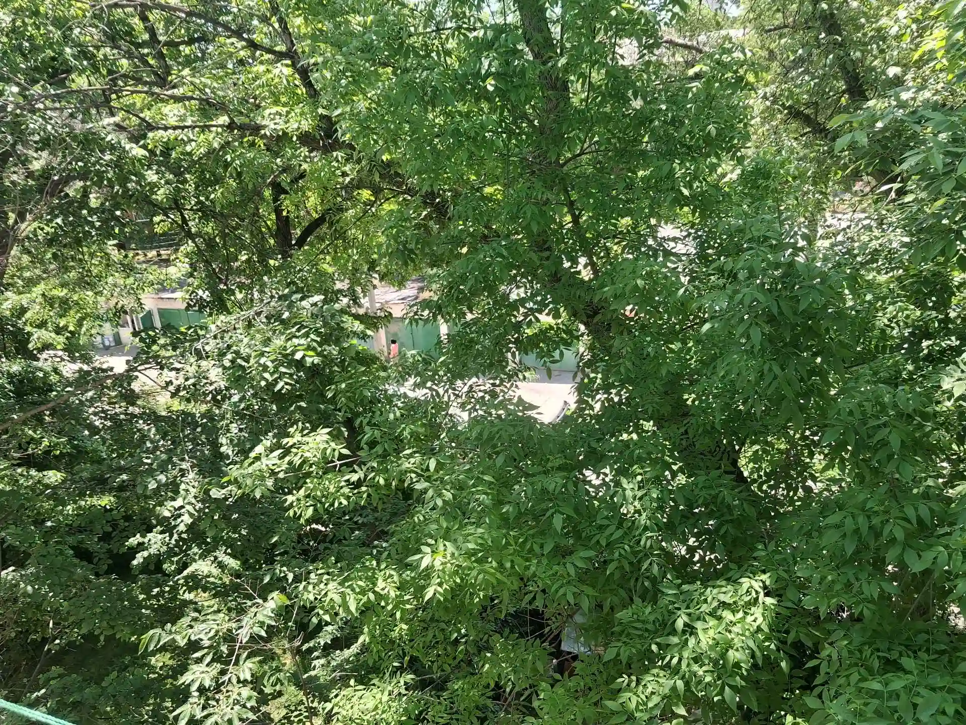 3-к квартира, 4 этаж, 65 м², сино