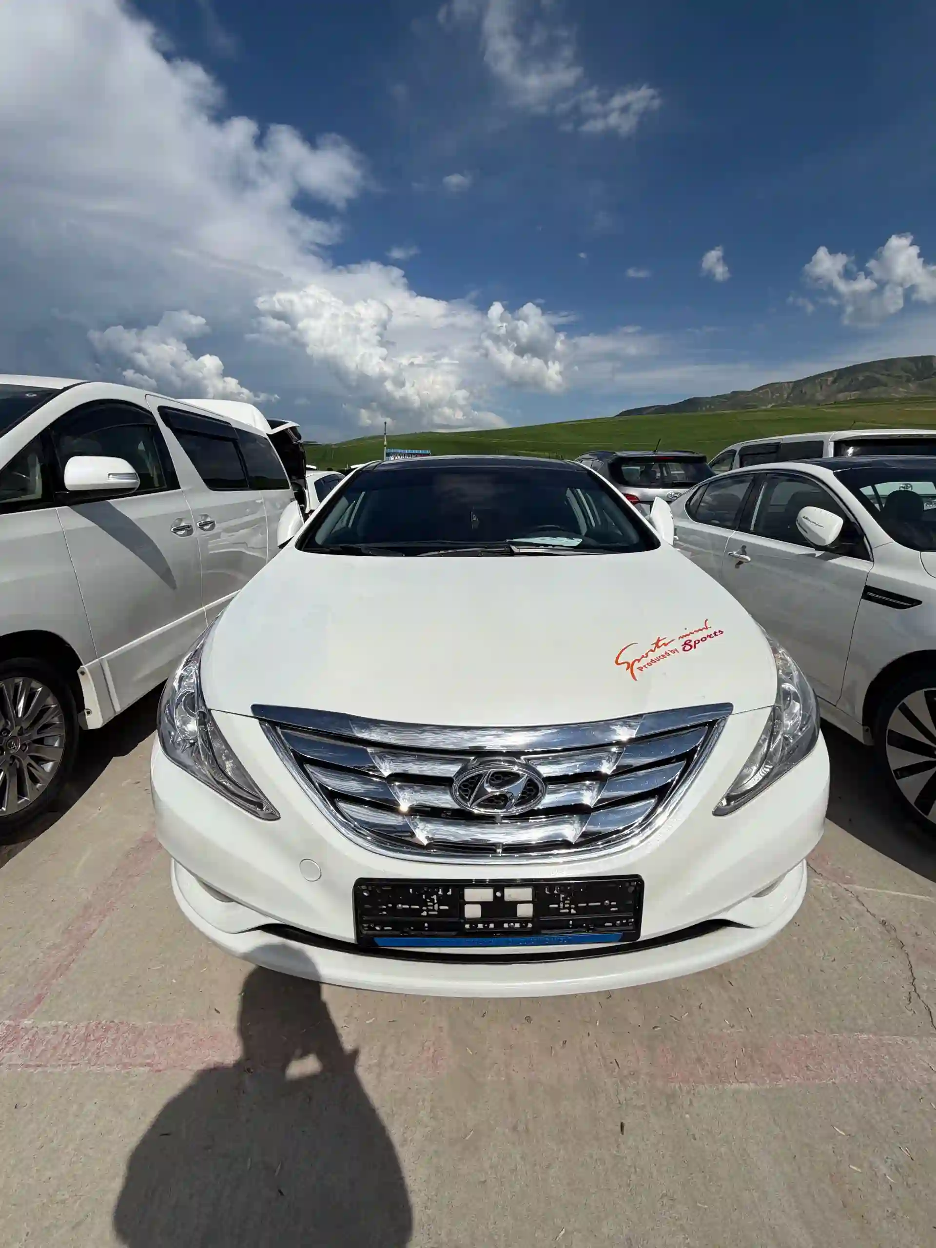 Hyundai Sonata 2010