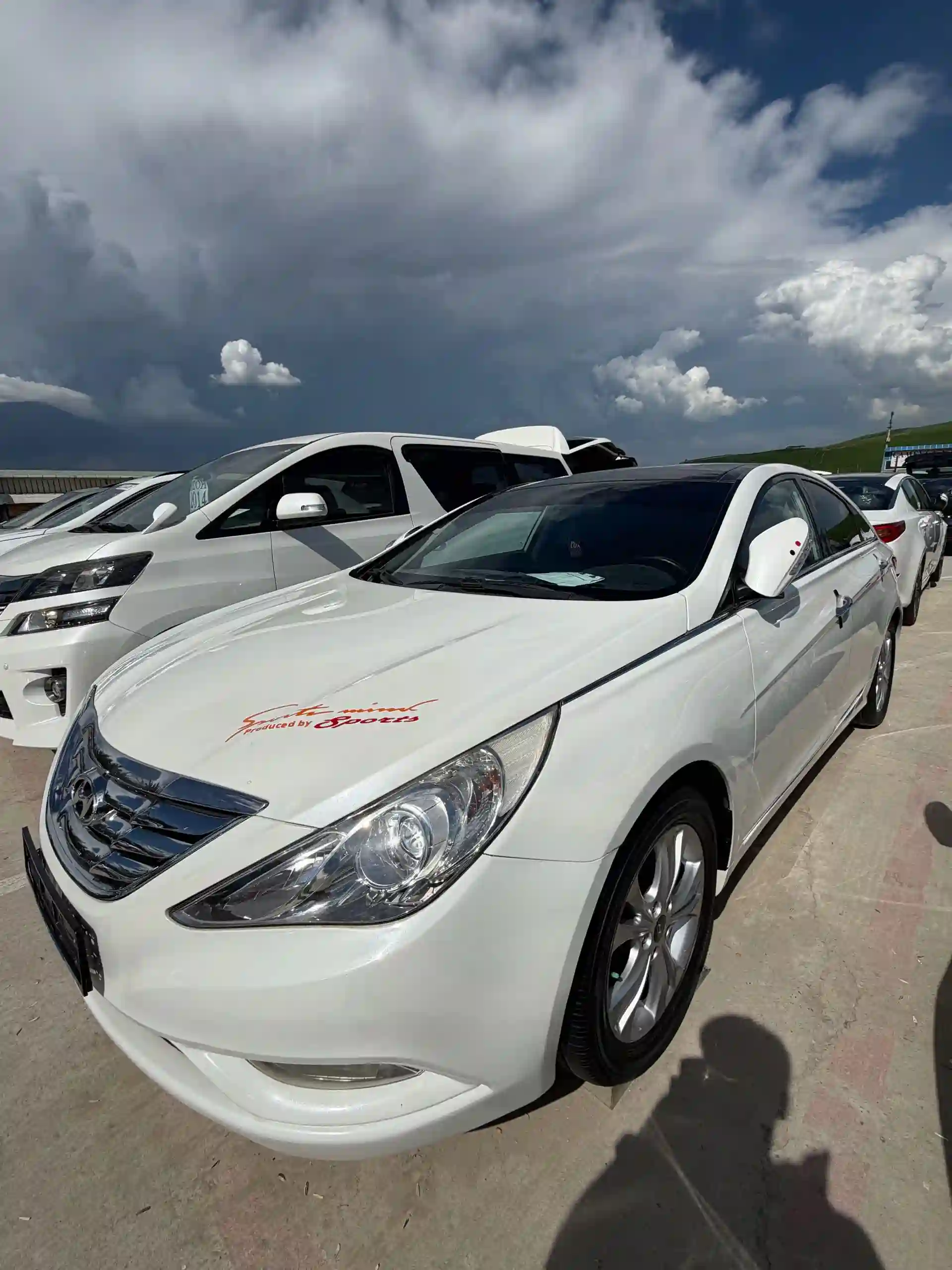 Hyundai Sonata 2010