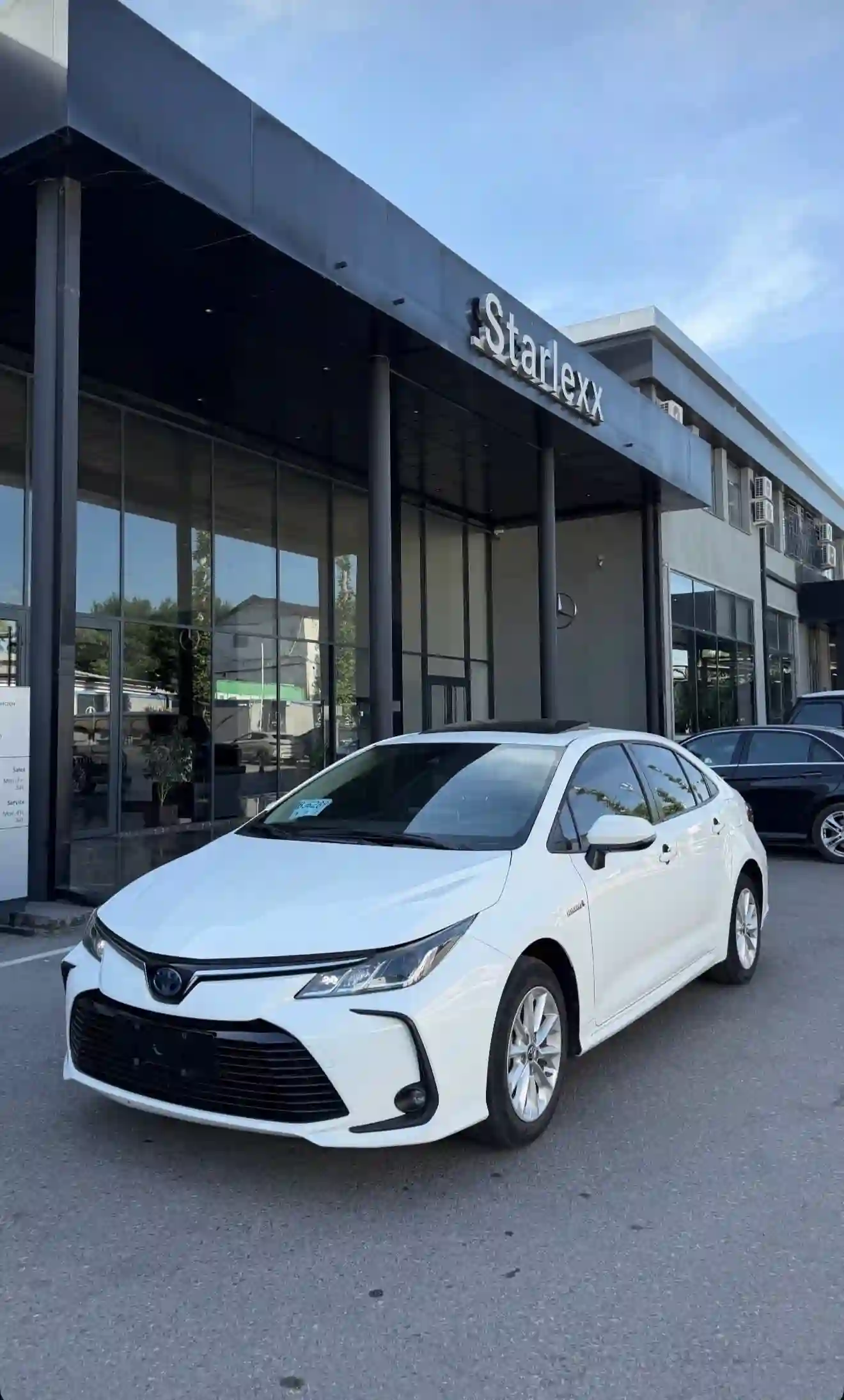 Toyota Corolla 2020 — миниатюра 2