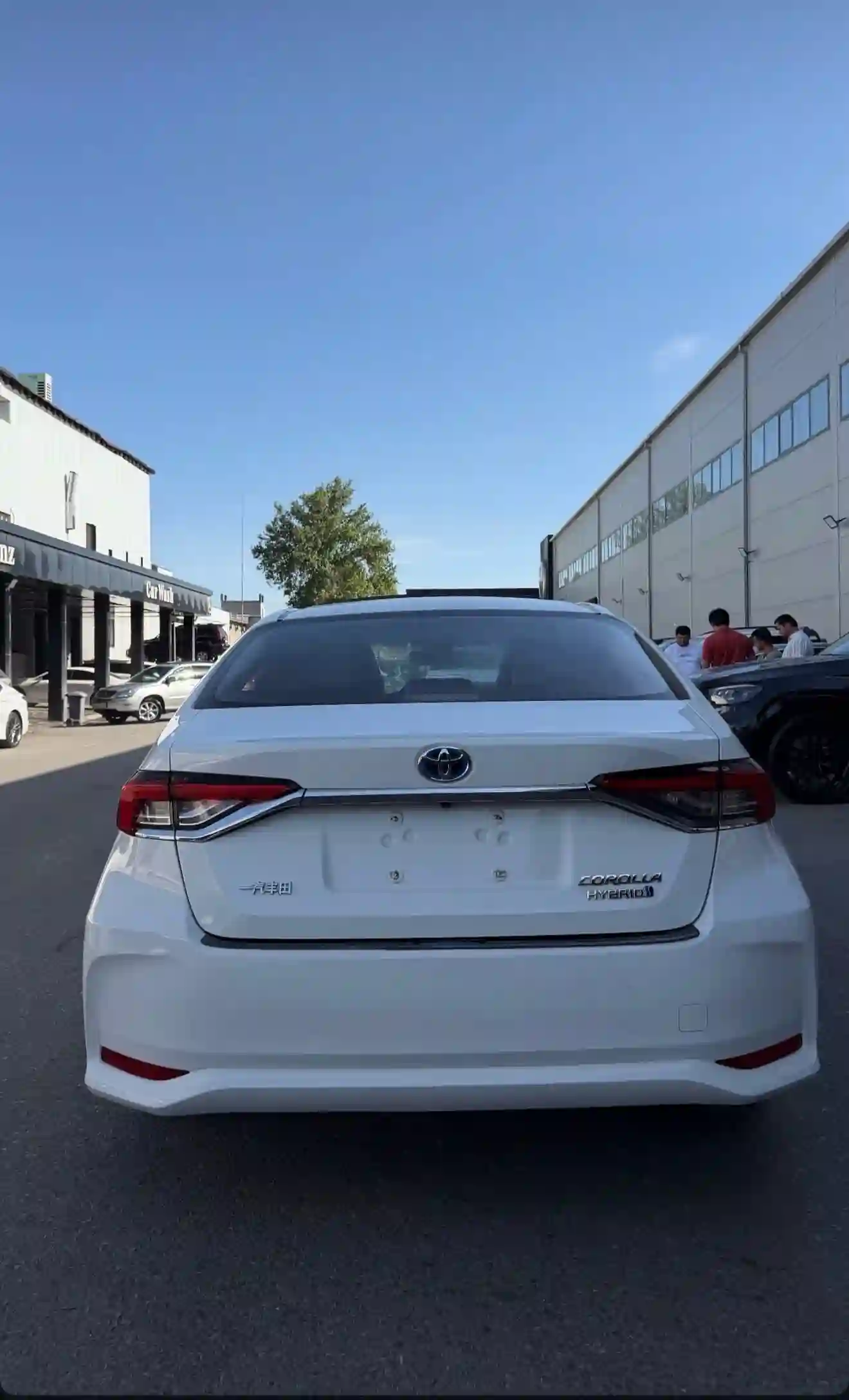Toyota Corolla 2020 — миниатюра 3