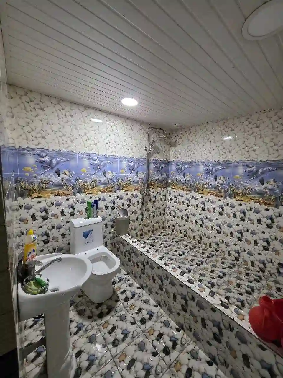 3-к квартира, Цокольный этаж, 140 м², Сино