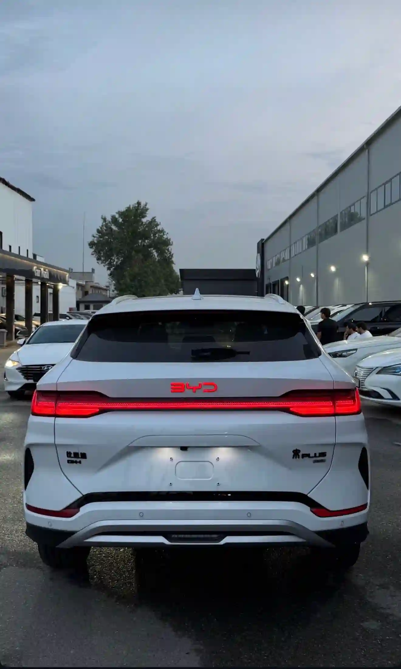 BYD Song Plus 2025 — миниатюра 3