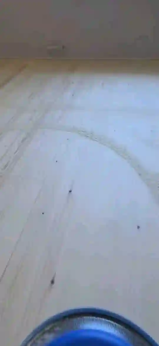 Услуги шлифовка пол паркет