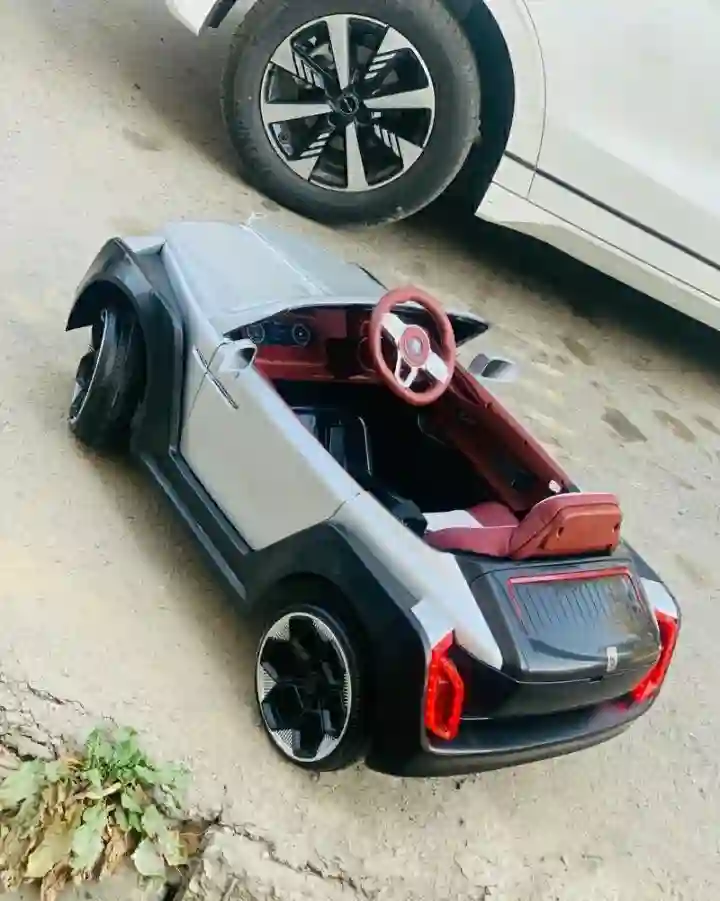 мошинча 