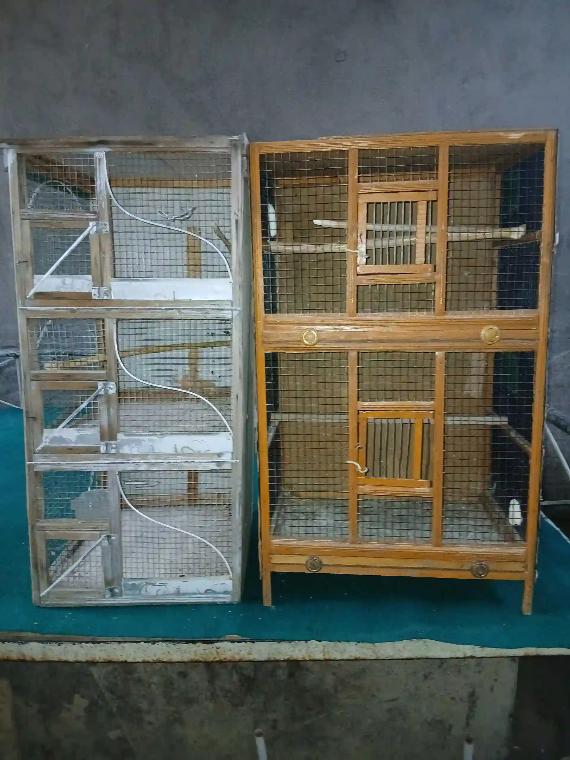 Клетки