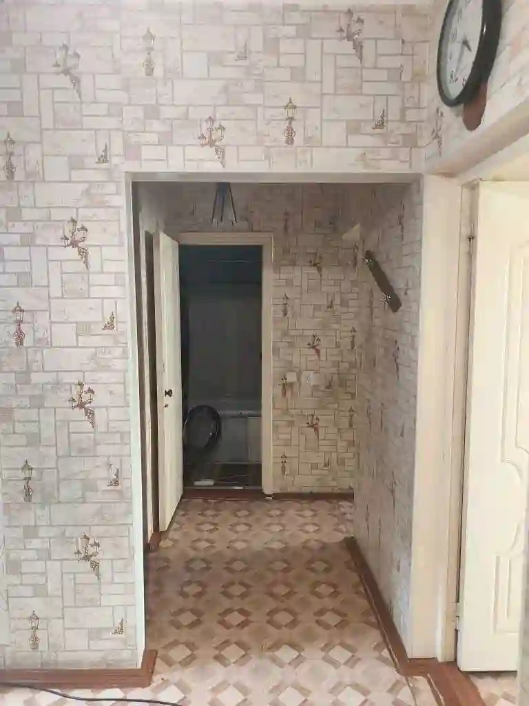 1-к квартира, 4 этаж, 50 м², 102 Зарнисор