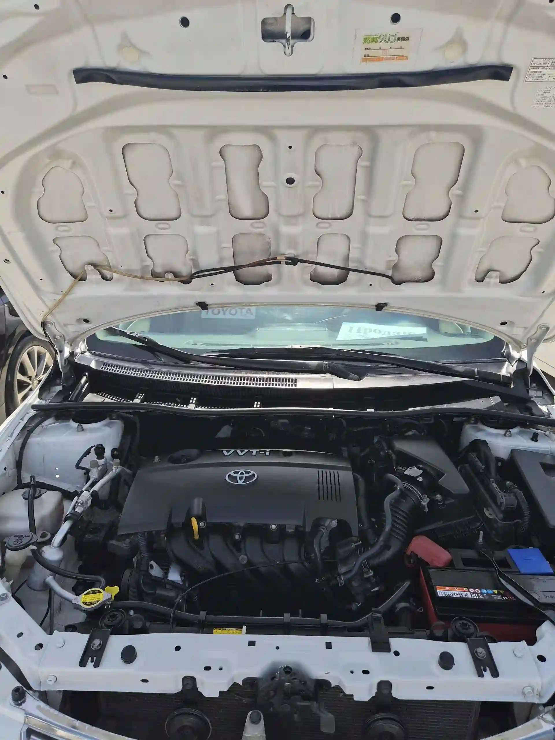 Toyota Axio 2008