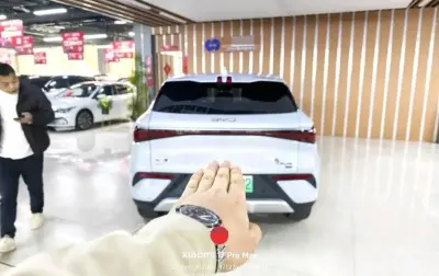 BYD Yuan Plus, 2025