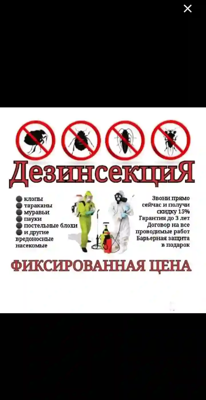 дезинфексия
