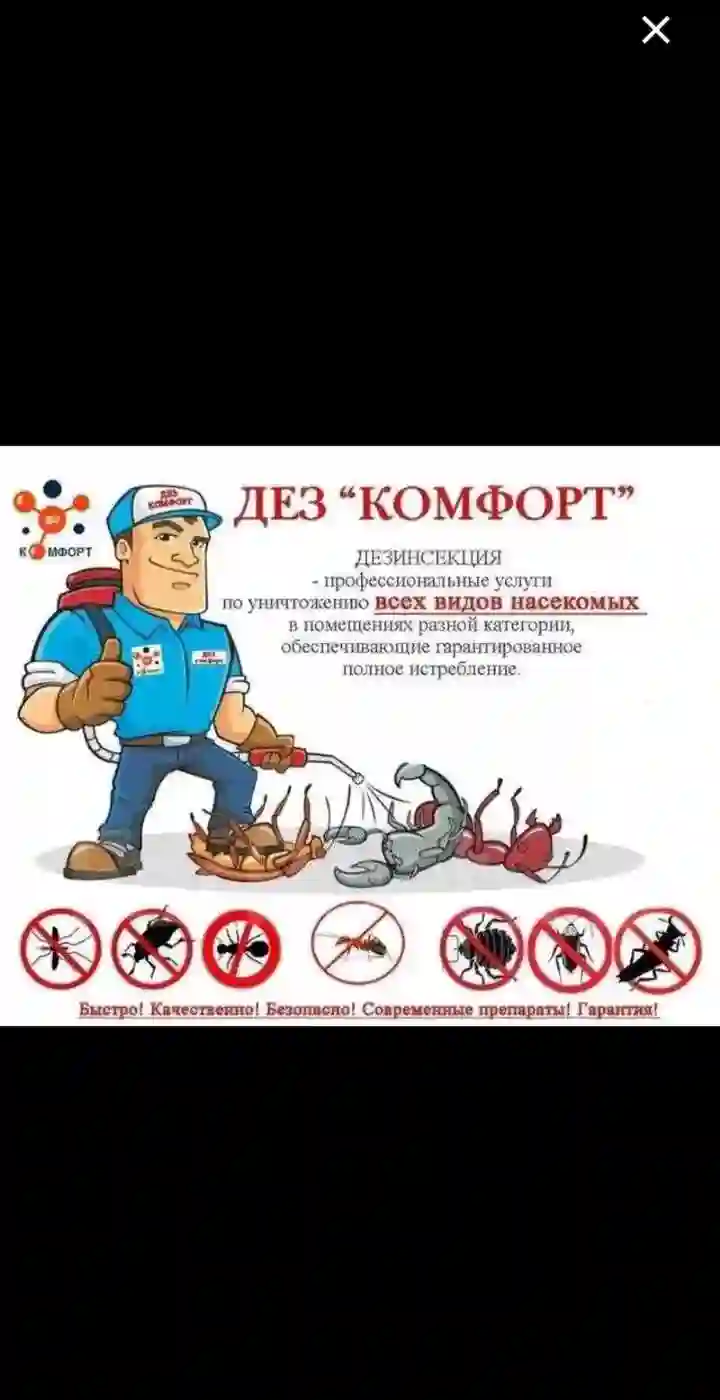дезинфексия