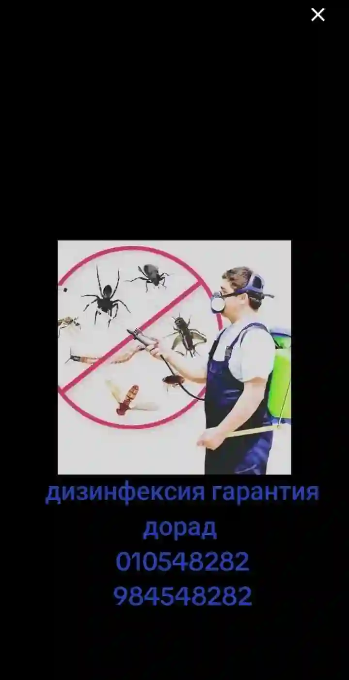 дезинфексия