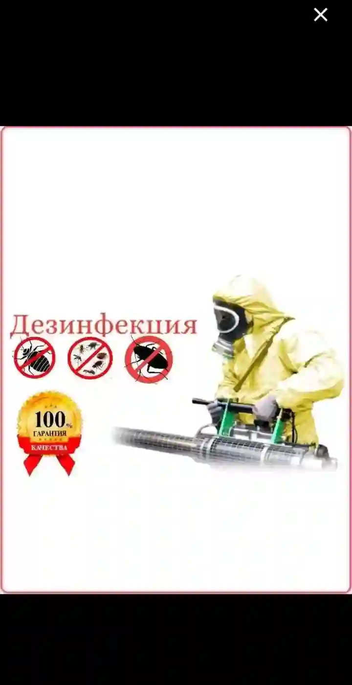 дезинфексия