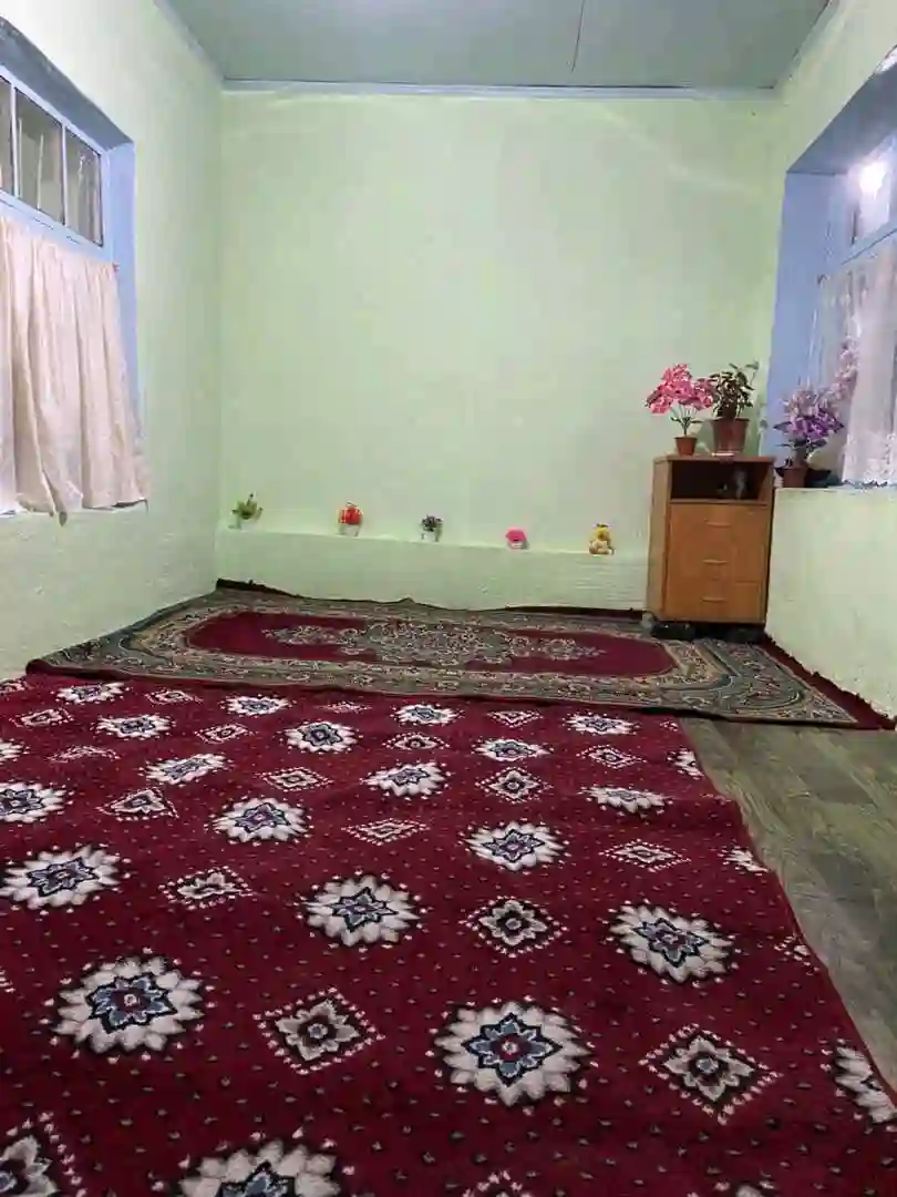 1 этажный, 5-комн. дом, 500 м², 3 соток, Рудаки