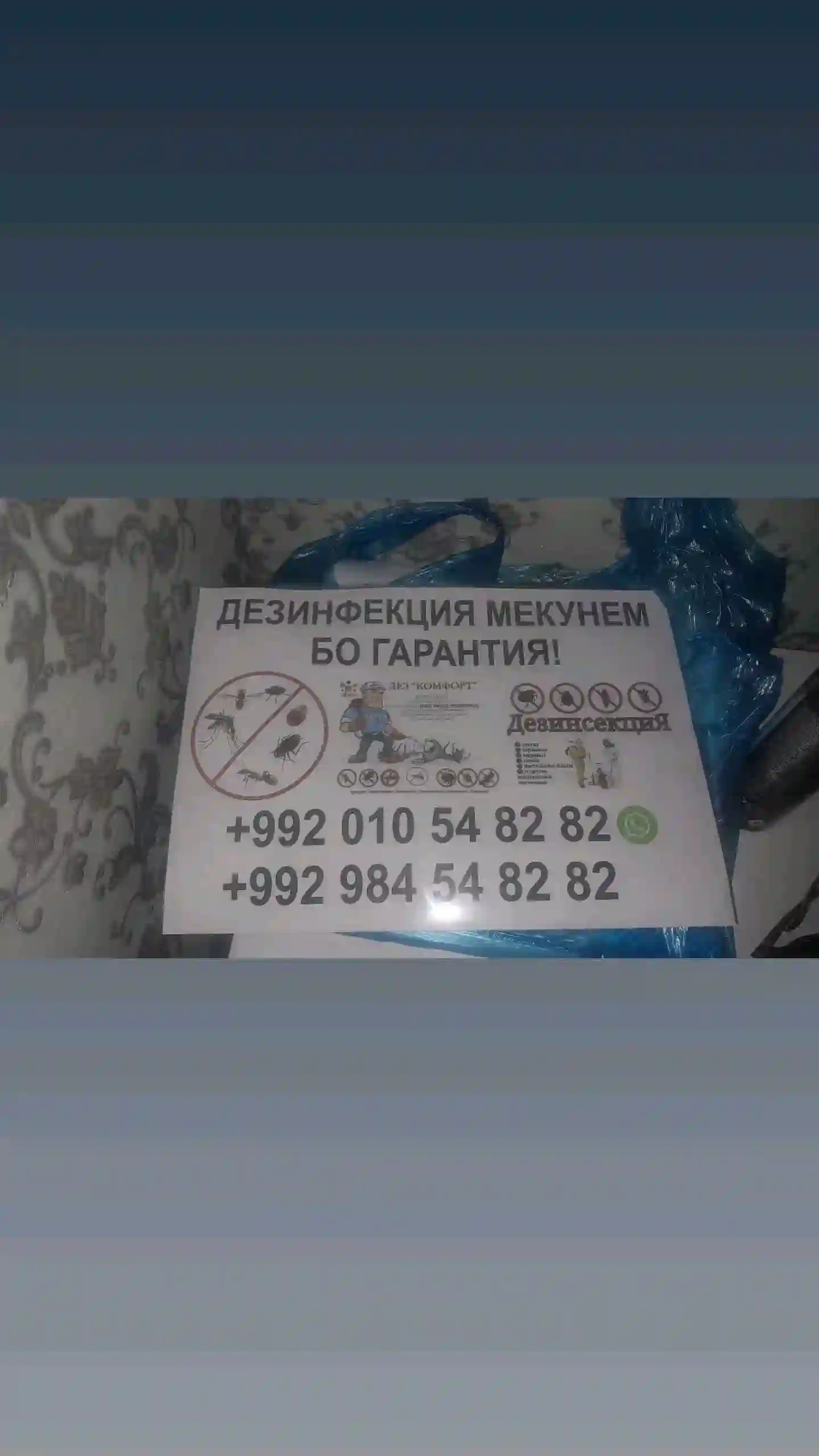 дезинфексия 