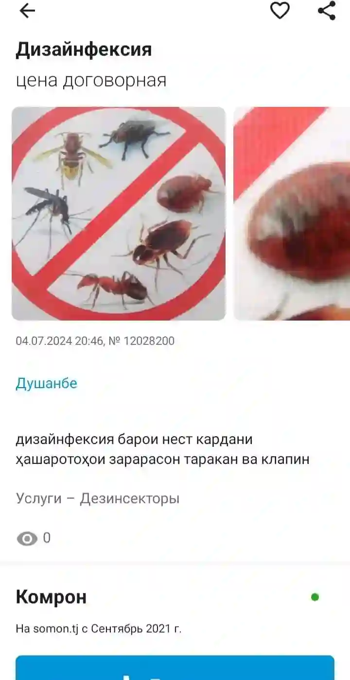 дезинфексия