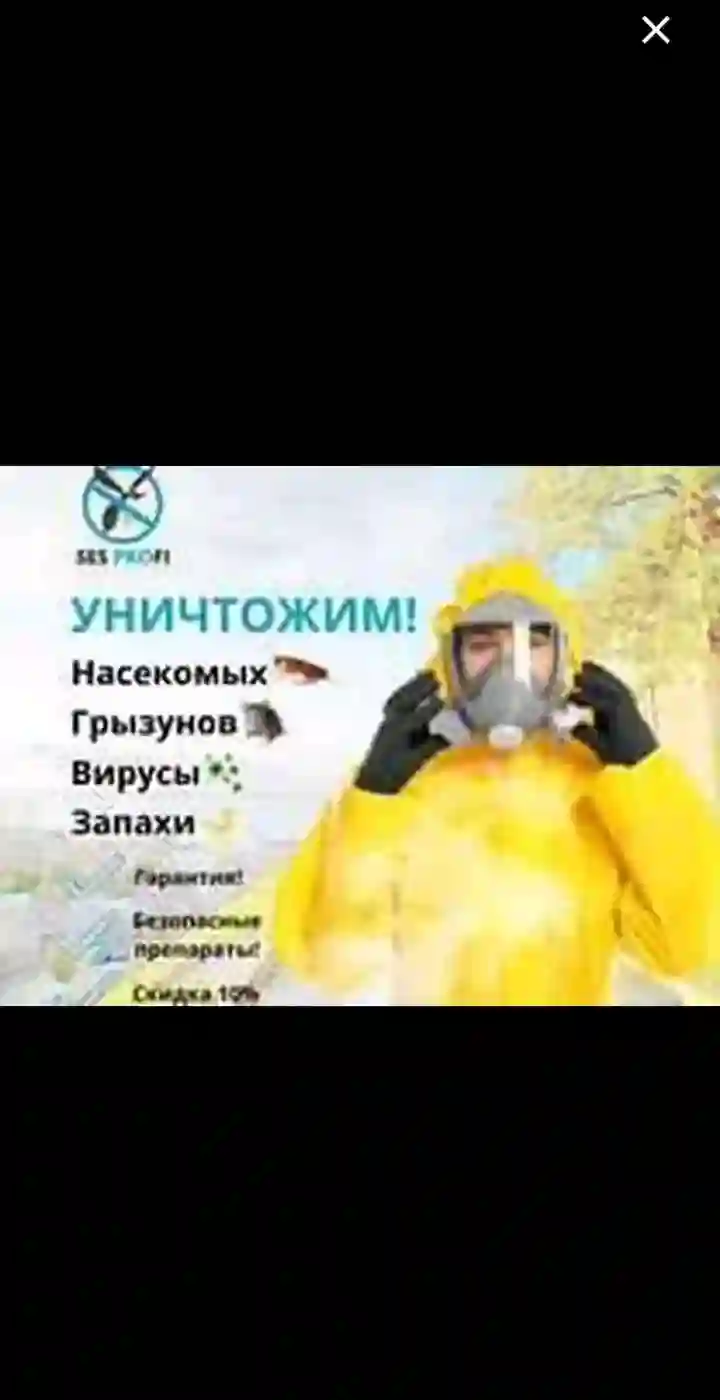 дезинфексия