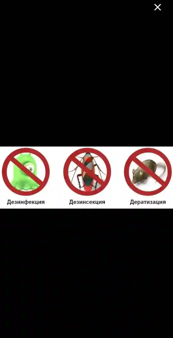 дезинфексия
