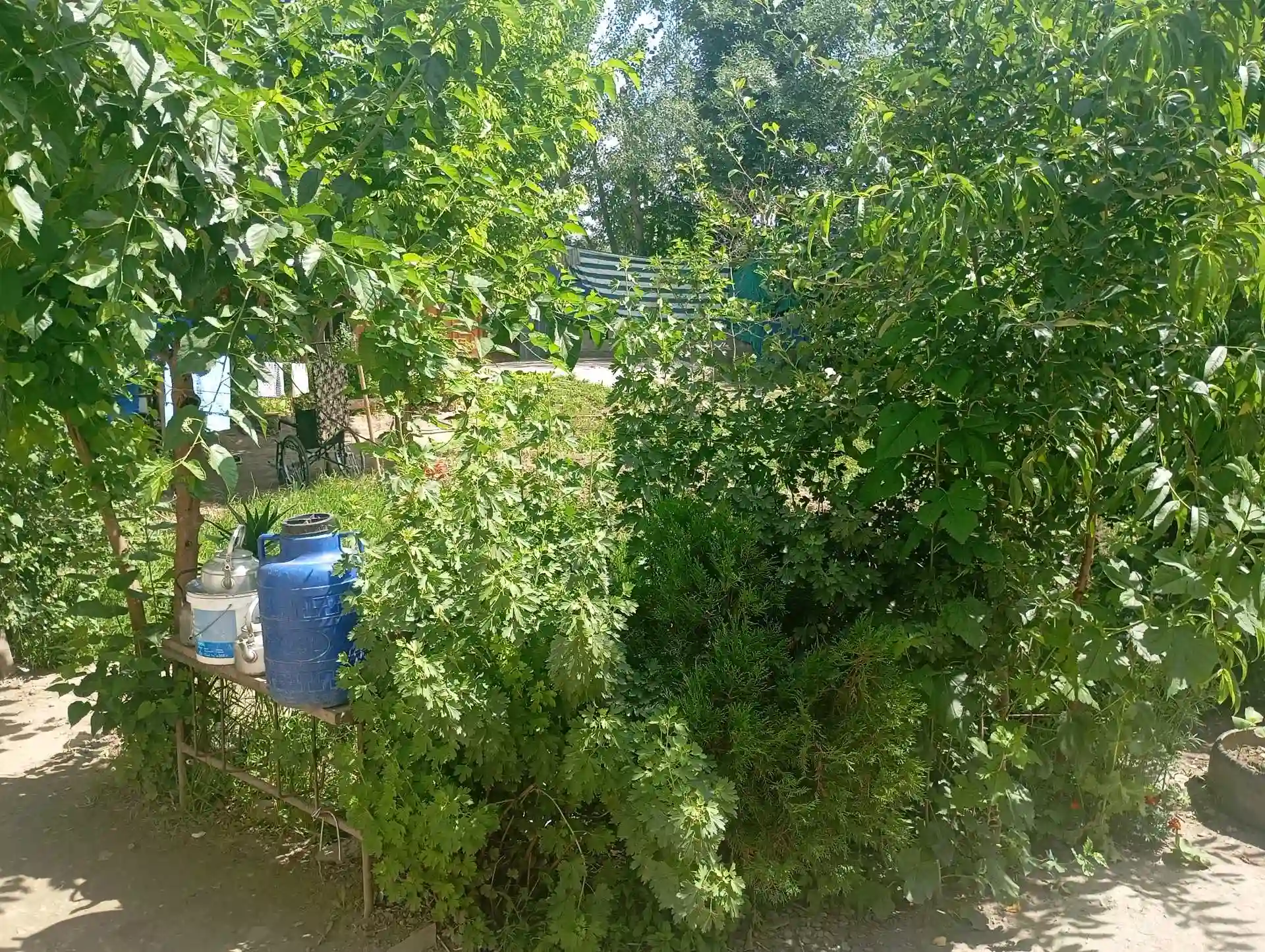 1 этажный, 3-комн. дом, 5 м², 5 соток, чангалобод 3