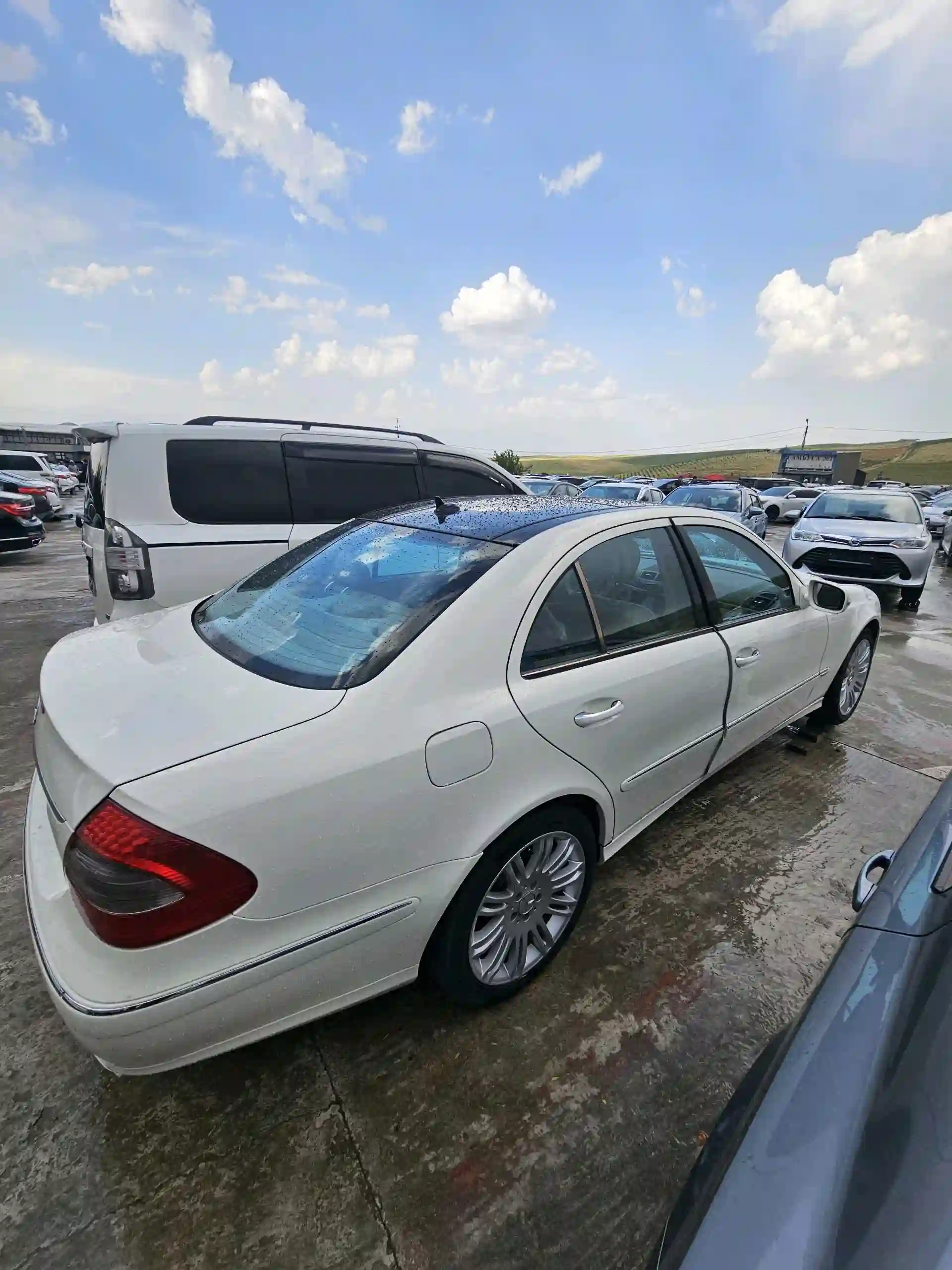 Mercedes-benz E class 2008 — миниатюра 3