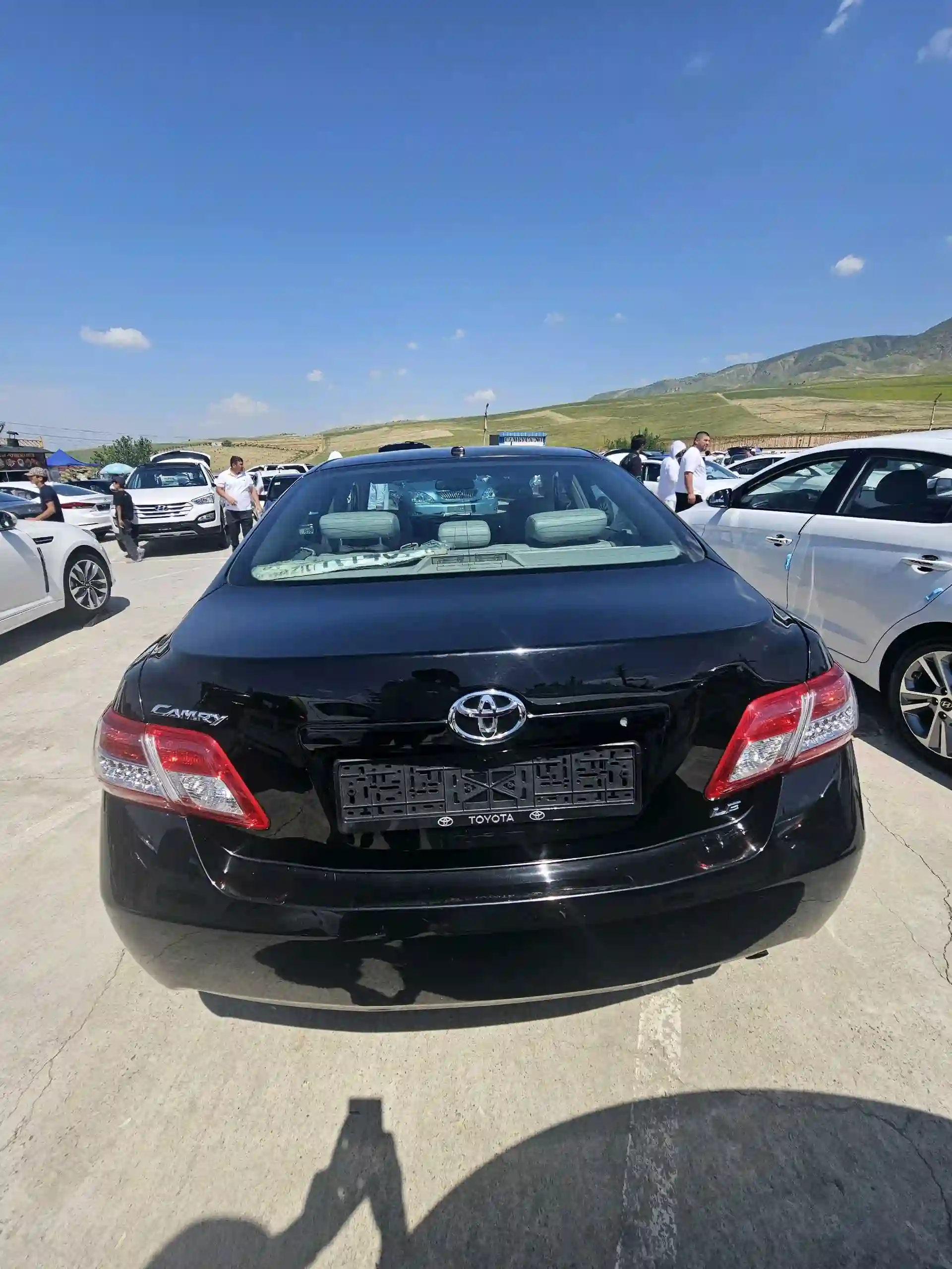Toyota Camry 2010