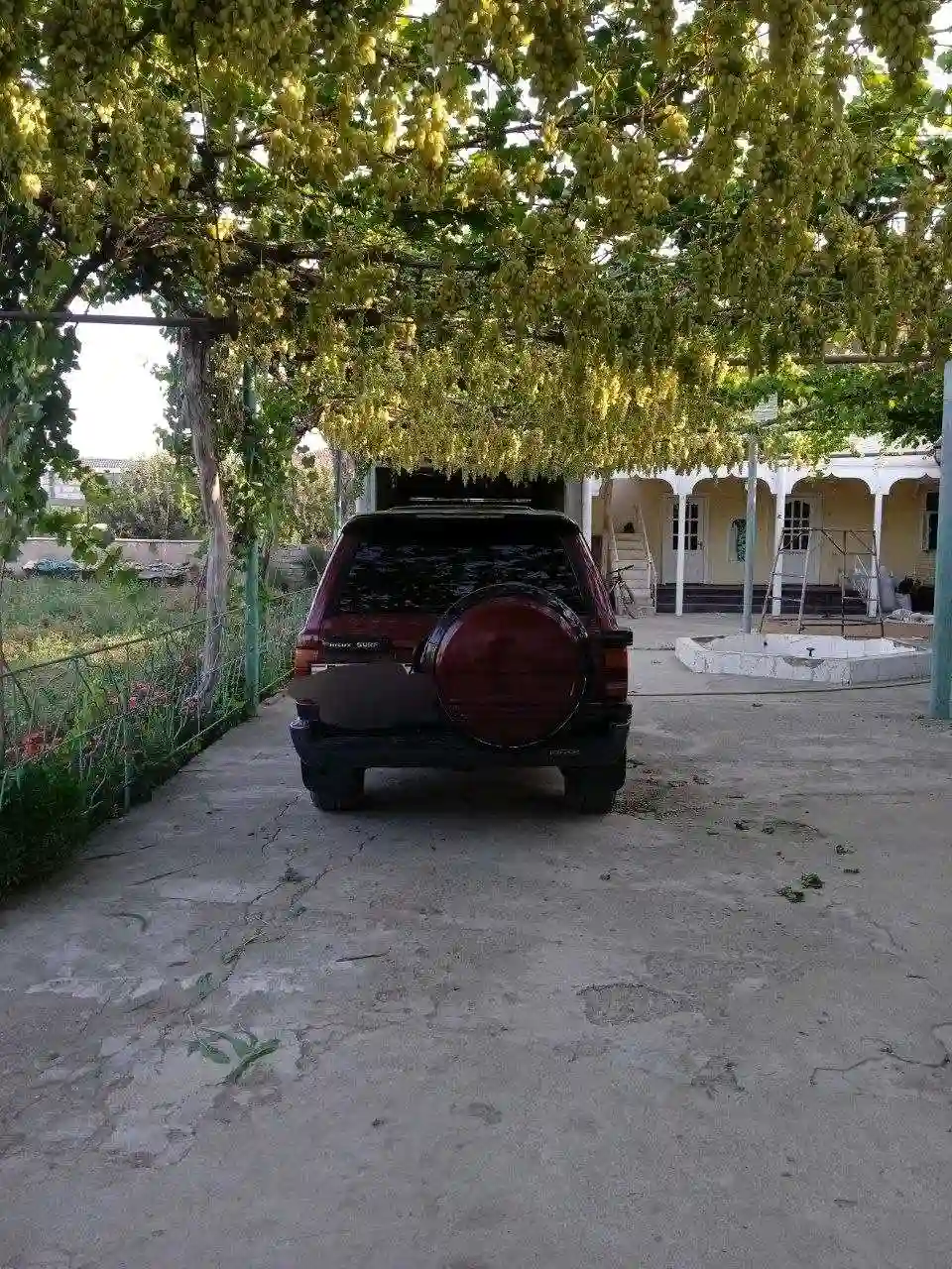 Toyota Hilux surf 1994